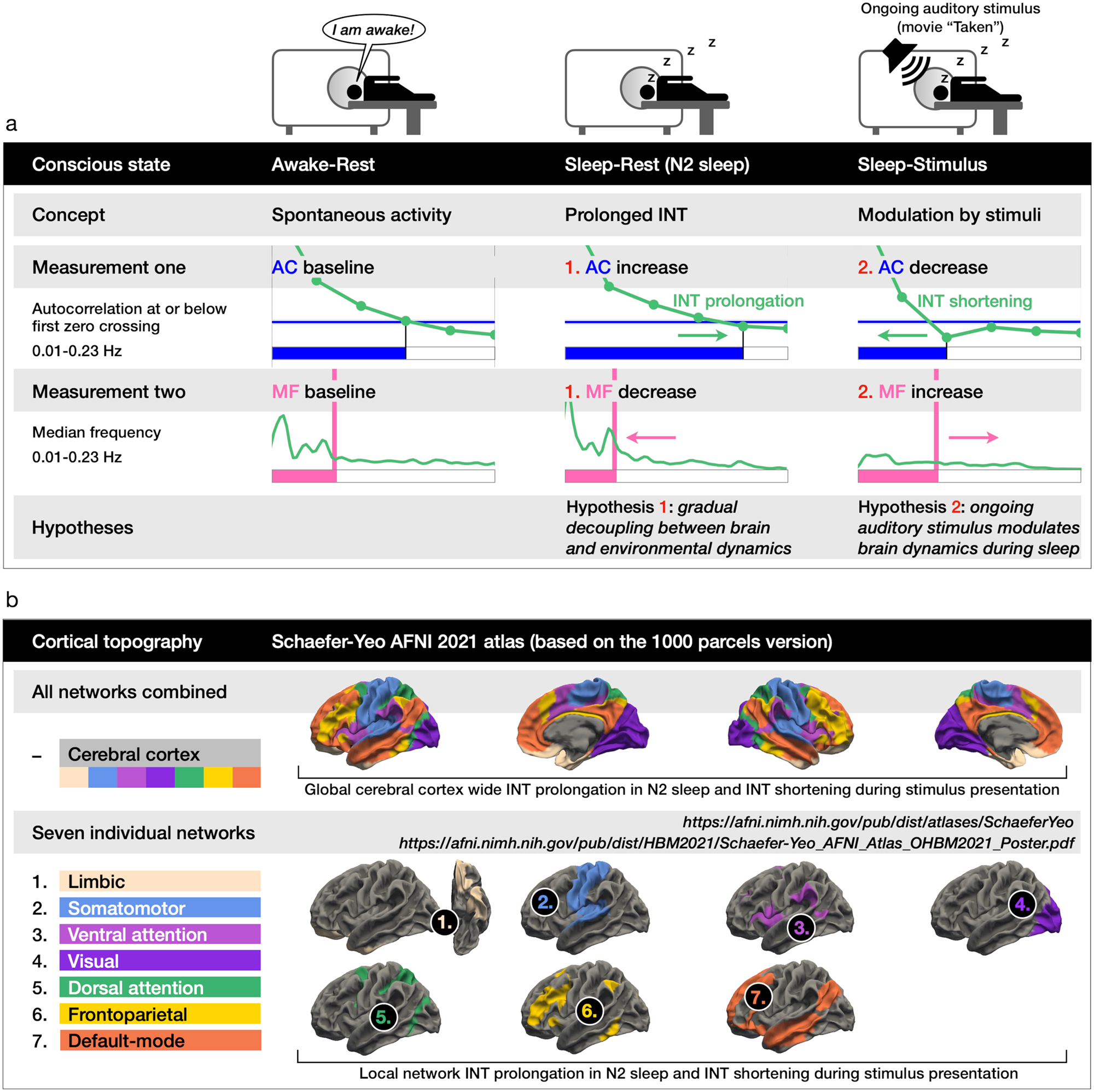 Fig. 1: Overview of the two hypotheses and cortical topography.