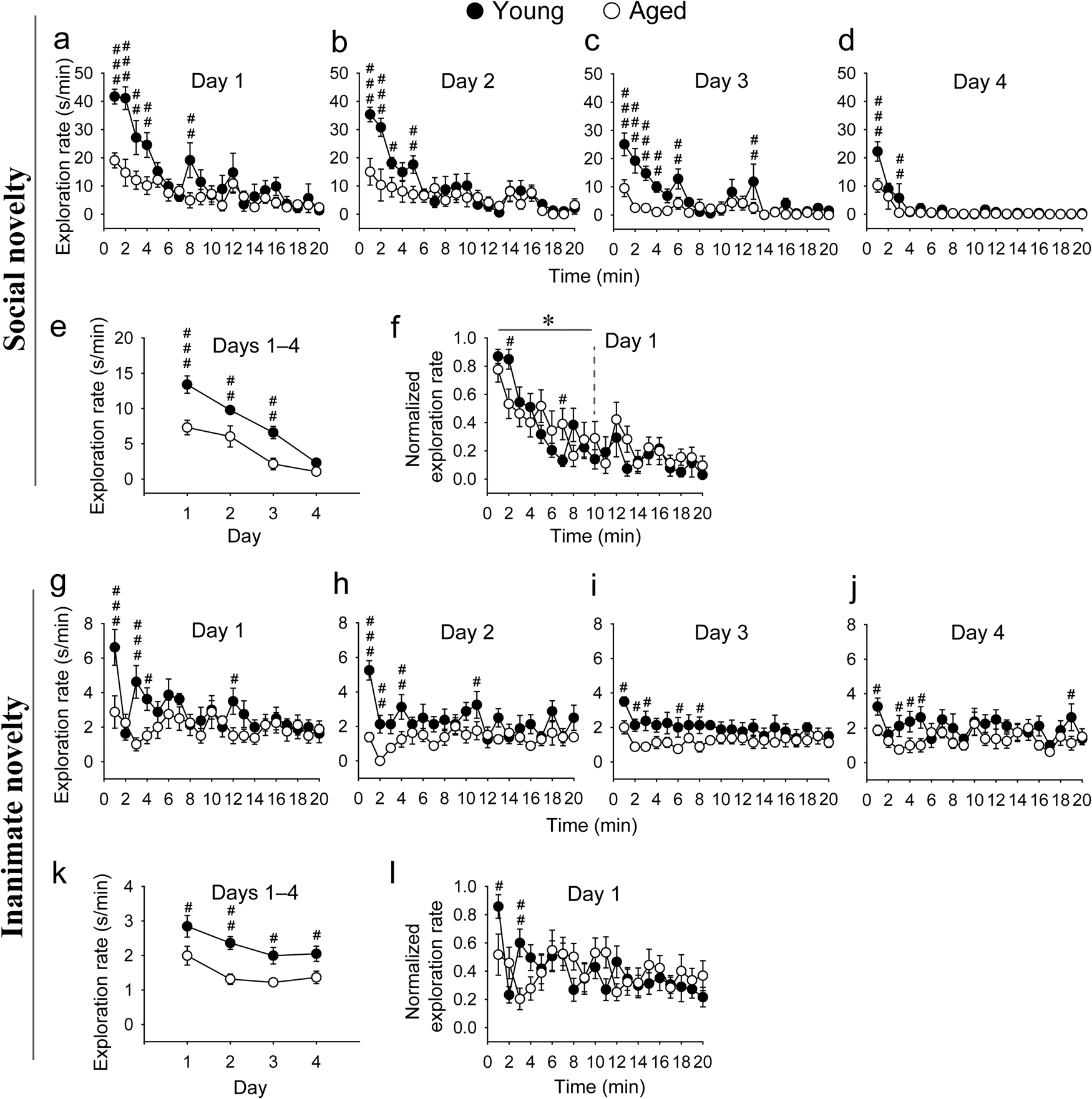 Reduction in the activity of VTA/SNc dopaminergic neurons 