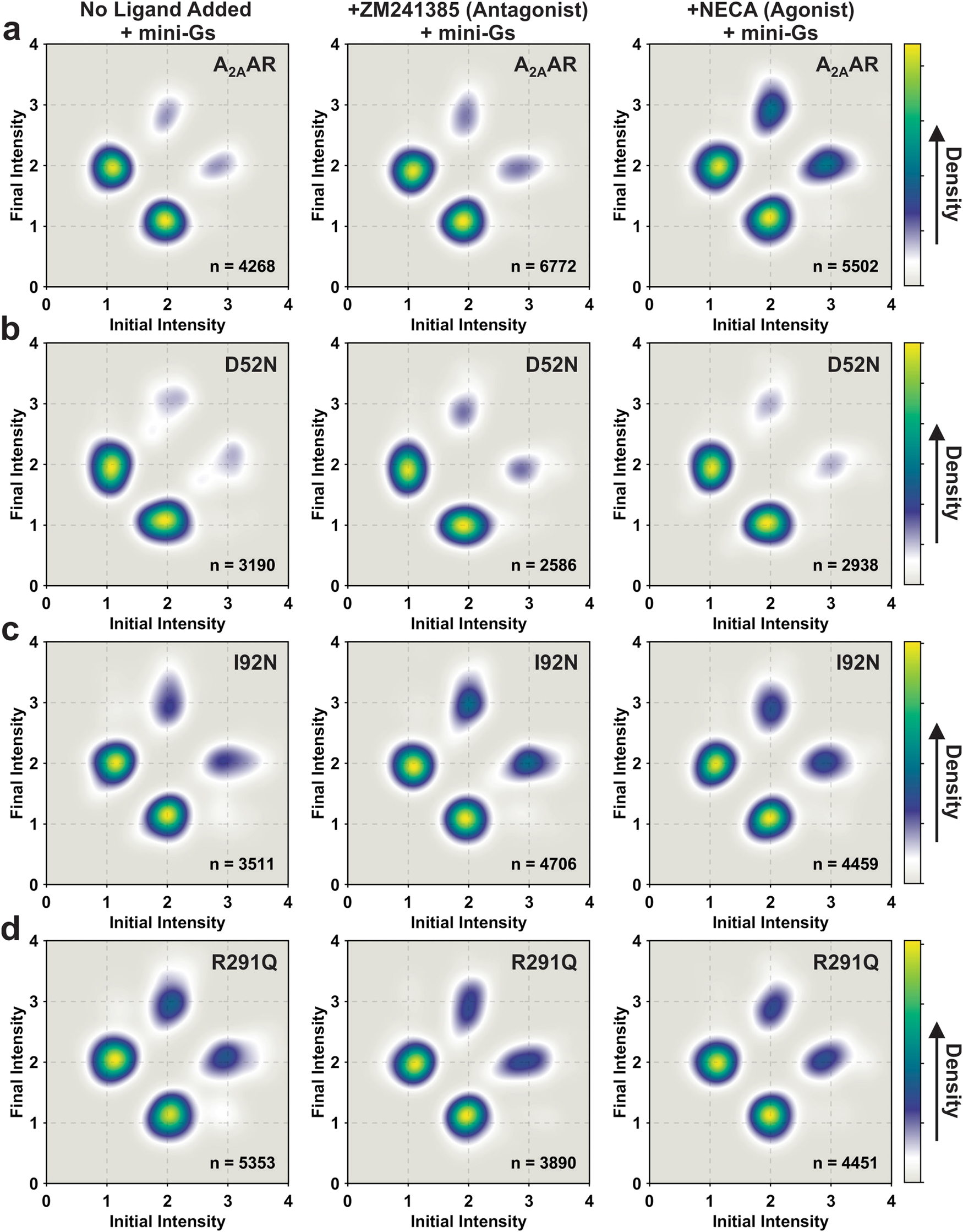 Fig. 6: TDPs of A2AAR, A2AAR[D52N], A2AAR[I92N], and A2AAR[R291Q] in the presence of mini-GS.