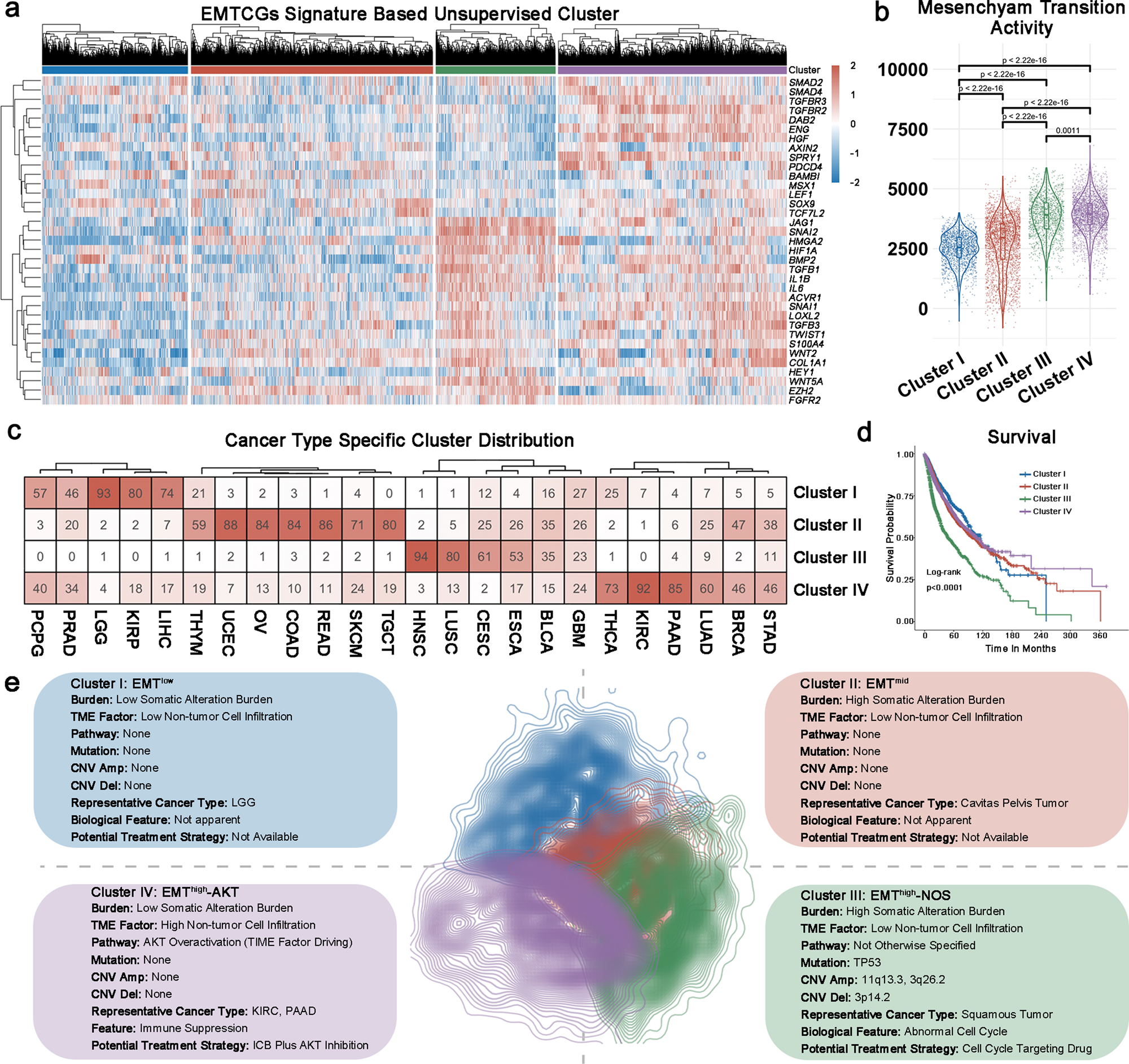 Fig. 2: Epithelial origin tumors exhibit four EMT subtypes.