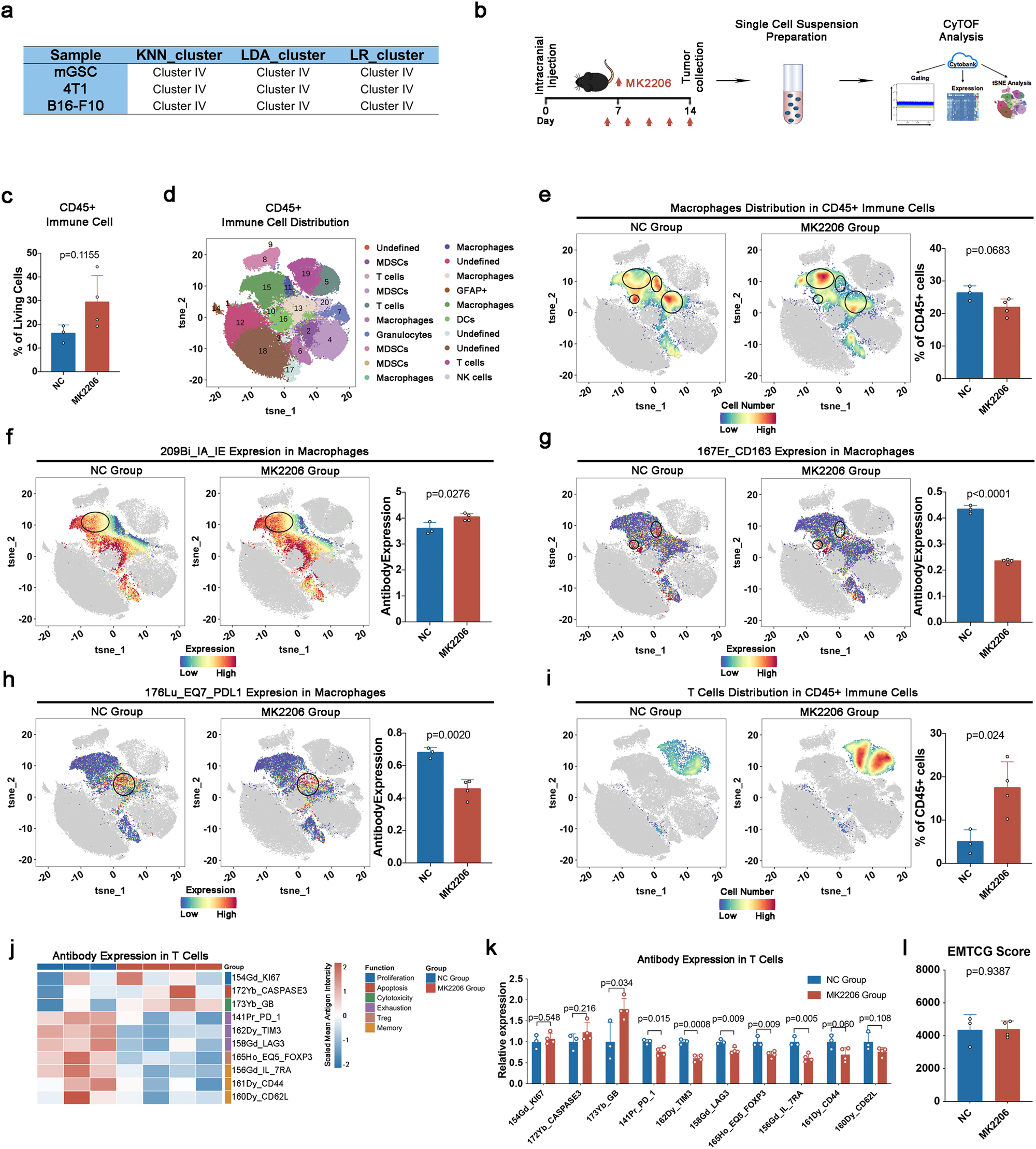 Fig. 5: AKT inhibition could reverse the immune-suppressive phenotype of the EMThigh-AKT subtype in vivo.