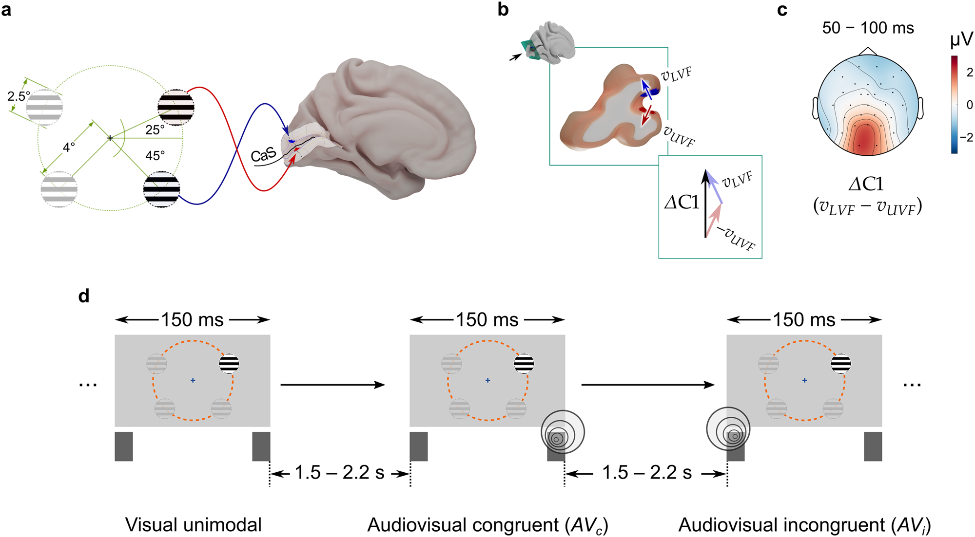 Sound suppresses earliest visual cortical processing after sight recovery  in congenitally blind humans | Communications Biology