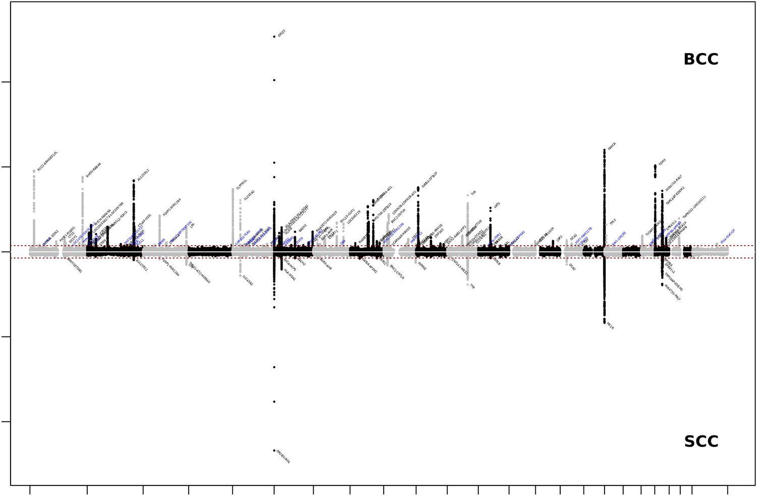 Fig. 3: Chicago plot of the European ancestry GWA meta-analyses of KC.