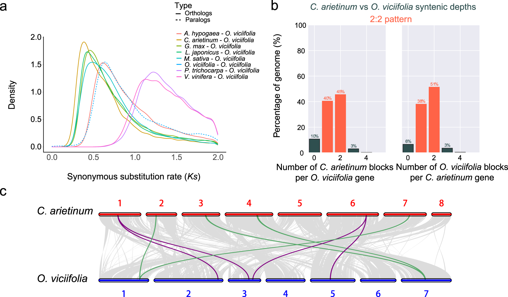 Fig. 3: WGD events and karyotype evolution of O. viciifolia and other species.