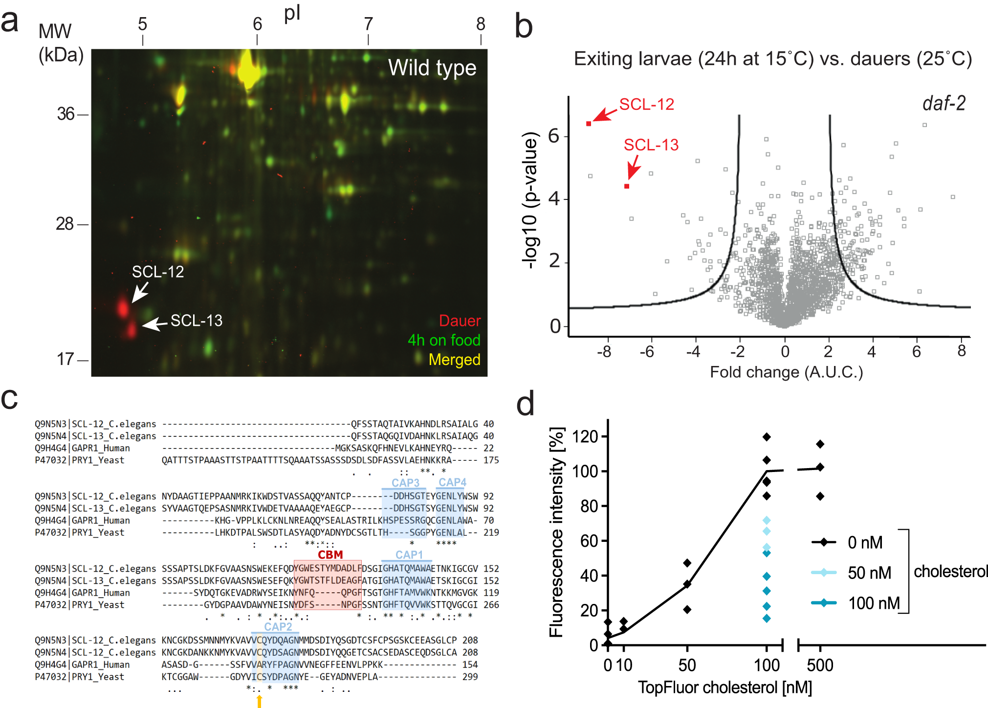 Mobilization of cholesterol induces the transition from quiescence to  growth in Caenorhabditis elegans through steroid hormone and mTOR signaling