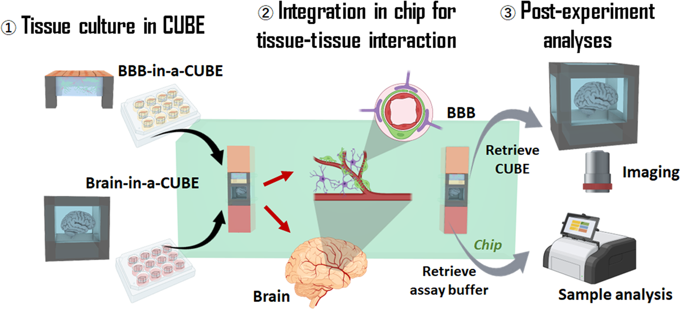 Dell Pro 24 Inch Plus Computer Monitor - P2425 | Dell USA, image size:1350x616