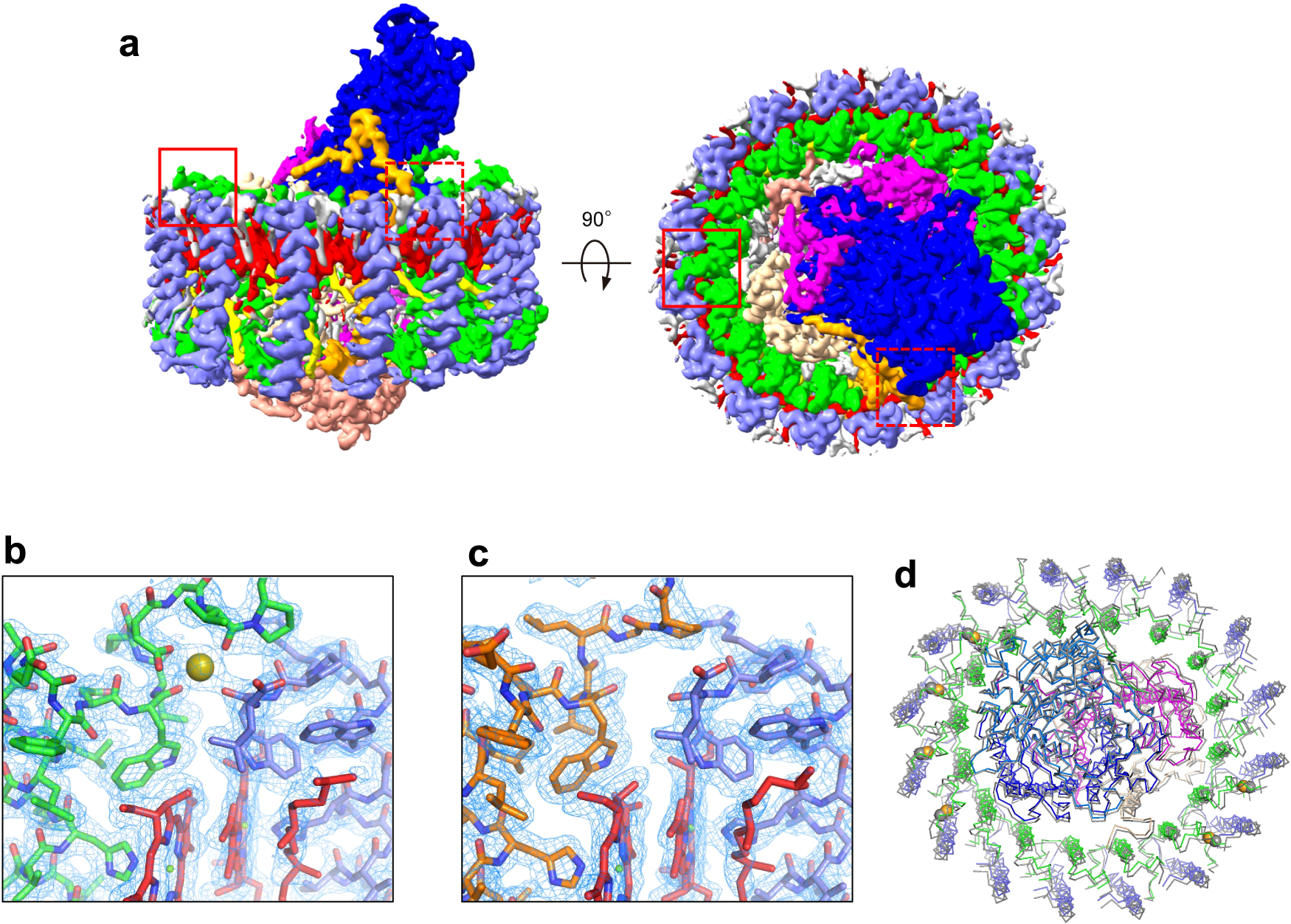 High-resolution structure and biochemical properties of the LH1–RC 