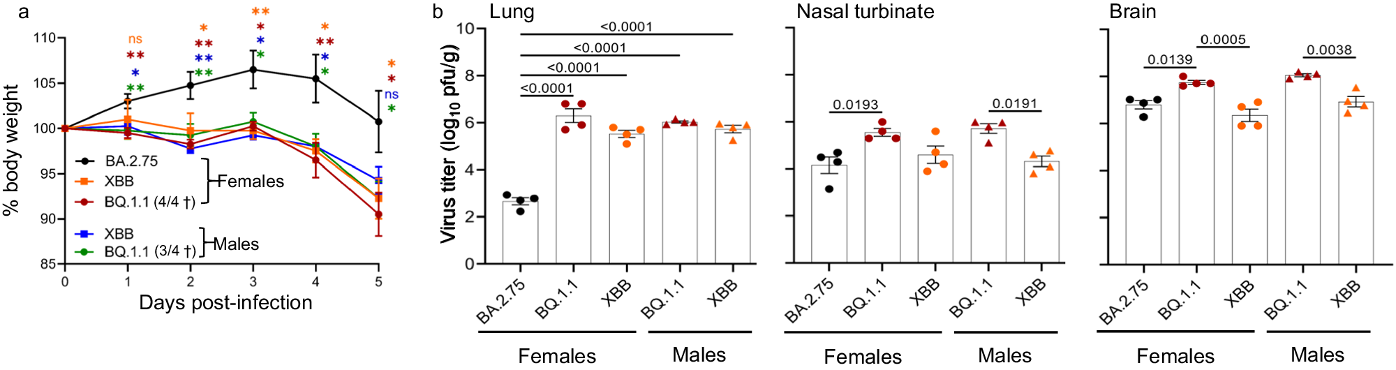 Fig. 4: Growth kinetics of Omicron subvariants in hACE2 hamsters.