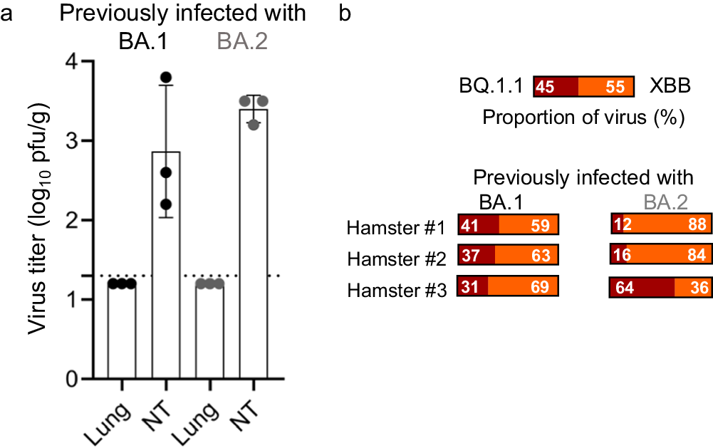 Fig. 5: Relative viral fitness of Omicron subvariants in hamsters.