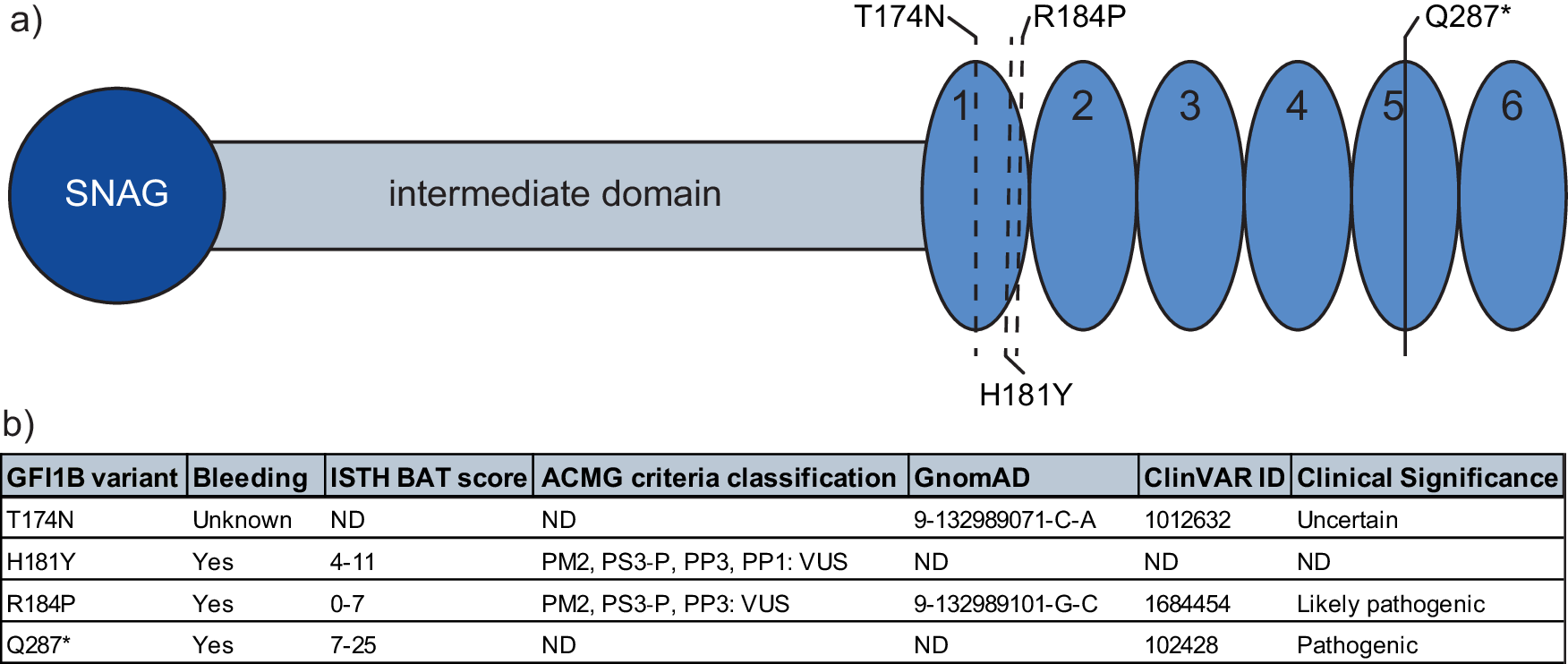 Fig. 1: Schematic overview of the GFI1B variants investigated.