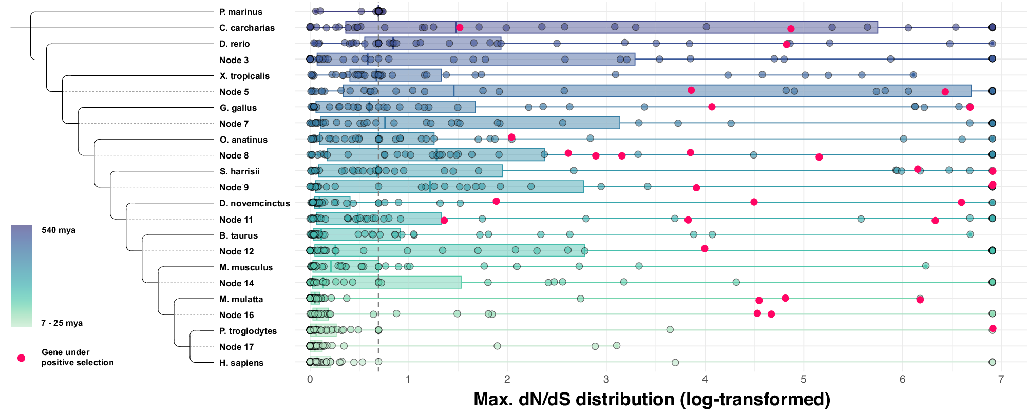Fig. 3: Distribution of maximum dN/dS values from the adaptive branch-site random effects likelihood (aBSREL) models.