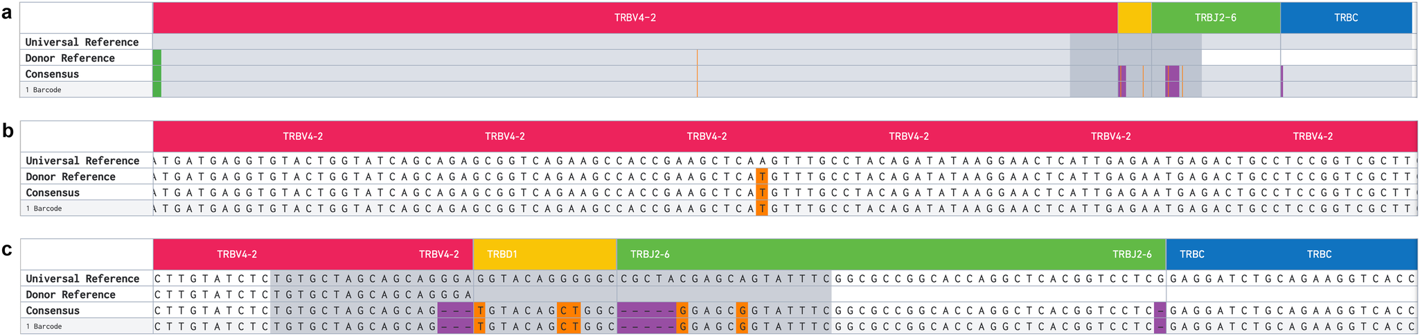 Fig. 5: Example individual clonotype.