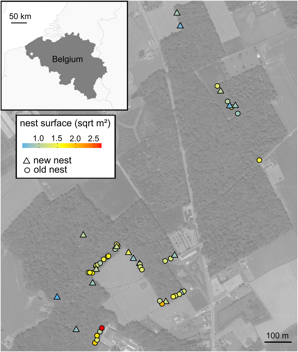 Fig. 5: Spatial distribution of the red wood ant nests in the study site in Northwest Belgium.