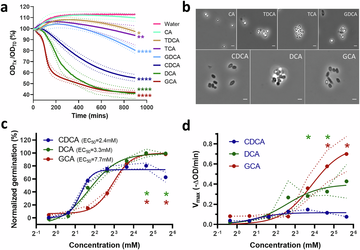 Fig. 1: C. septicum germinates robustly in the presence of bile salts.