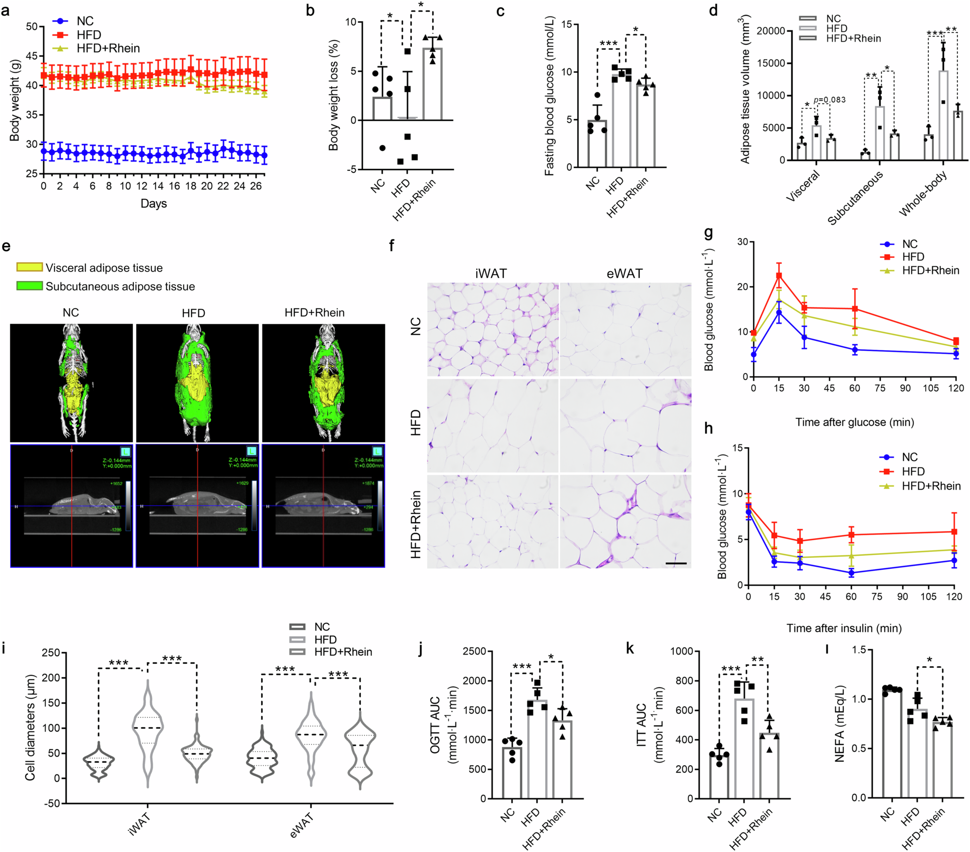 Fig. 1: Rhein decreases weight gain and enhances insulin sensitivity in DIO mice.