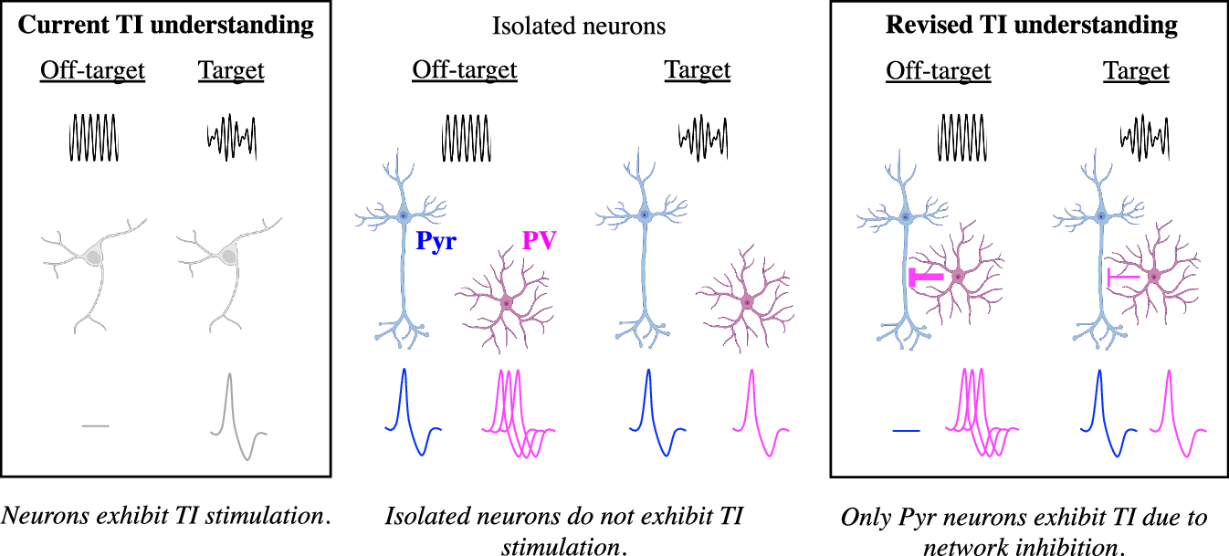 Fig. 1: Revision on the understanding of Temporal Interference (TI) stimulation.