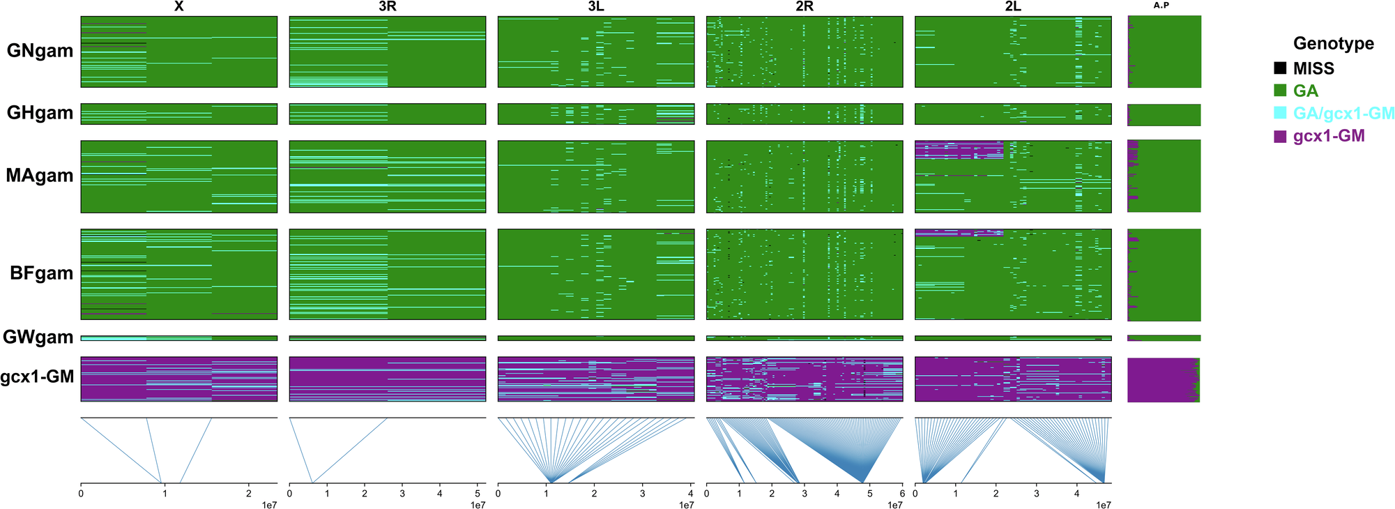 Fig. 5: gcx1-GM vs Anopheles gambiae markers plot.