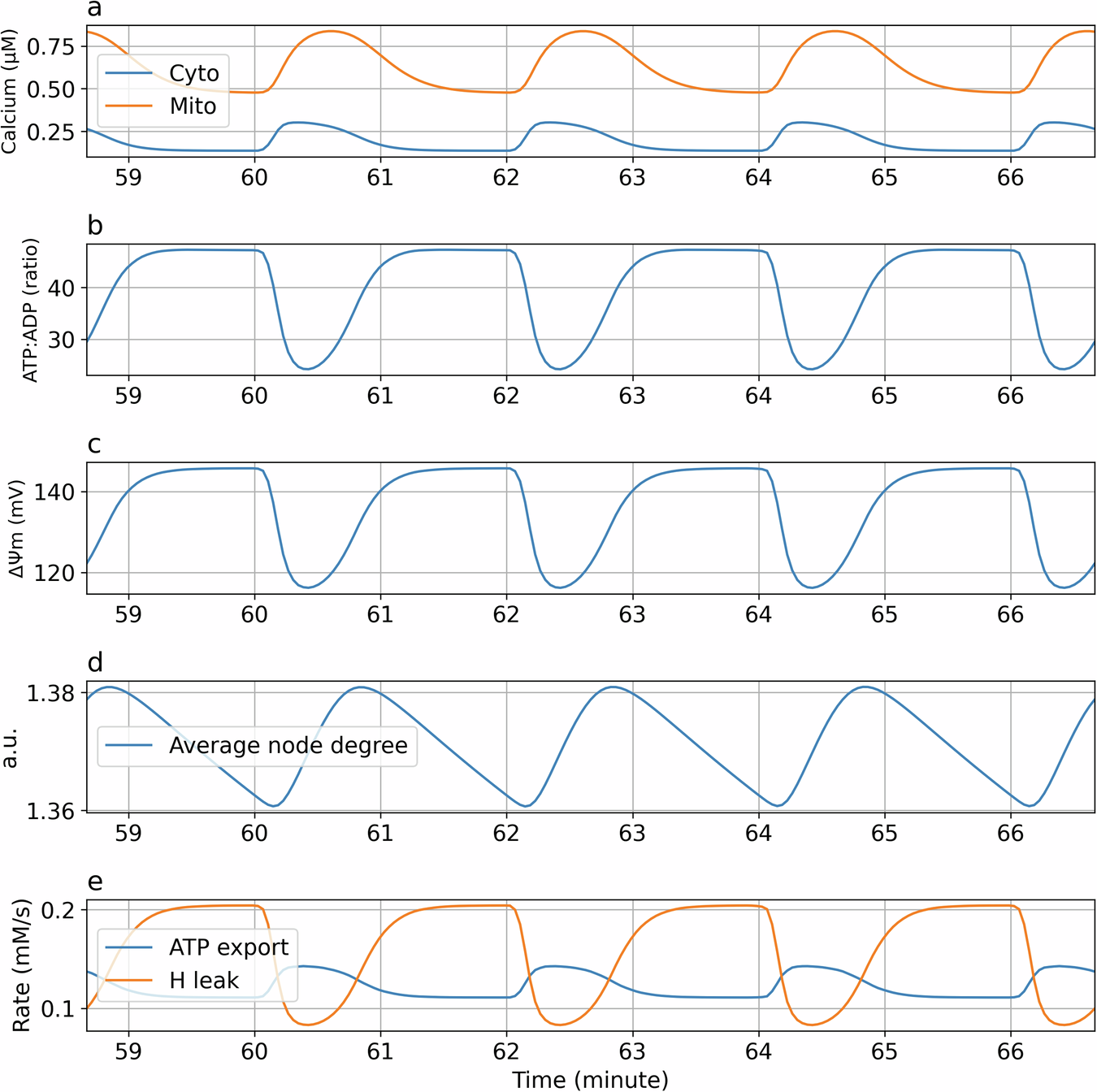 Fig. 7: Response to cytosolic calcium oscillations.