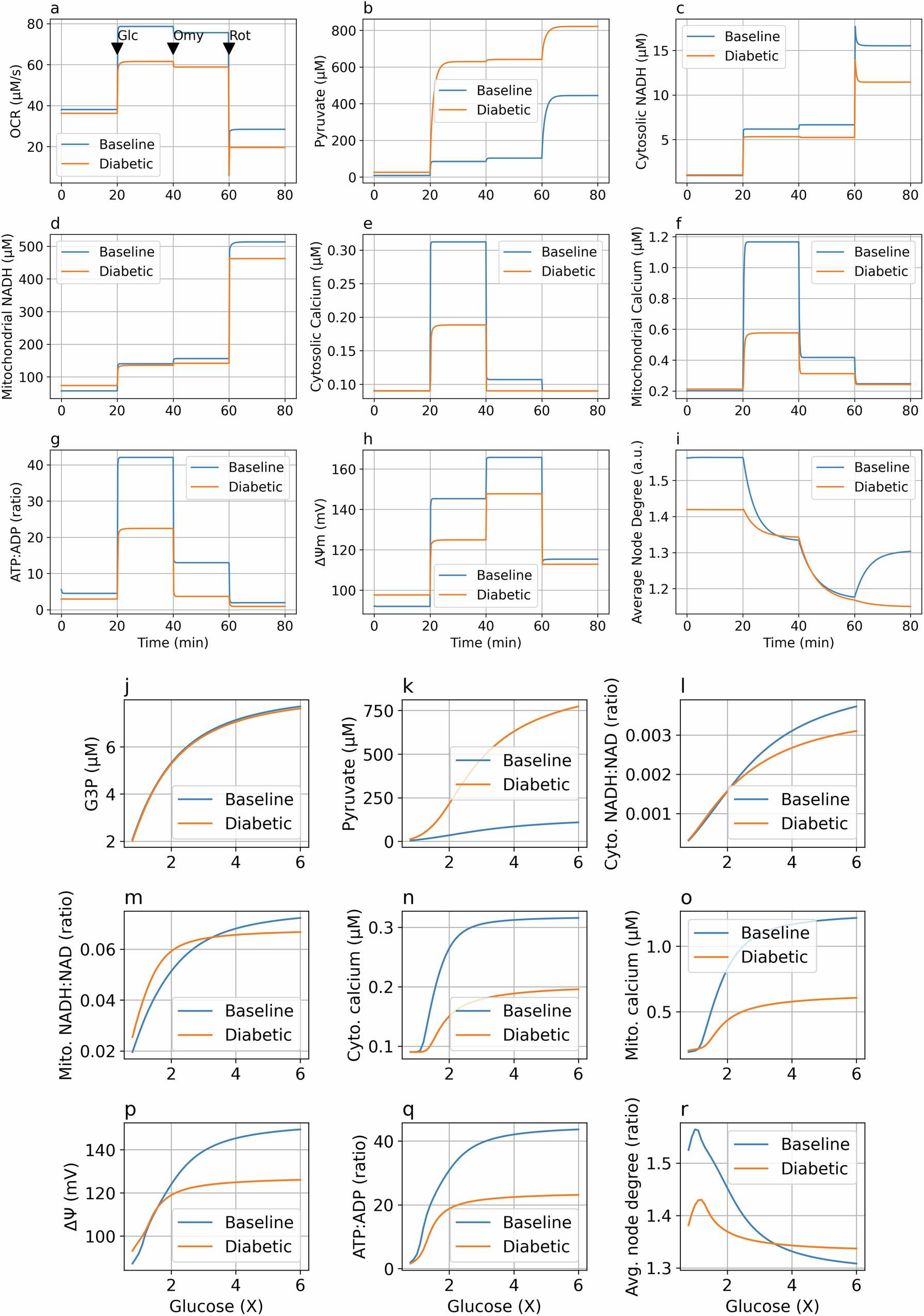 Fig. 8: In silico ODE model response to glucose stimulation in the baseline and diabetic models.