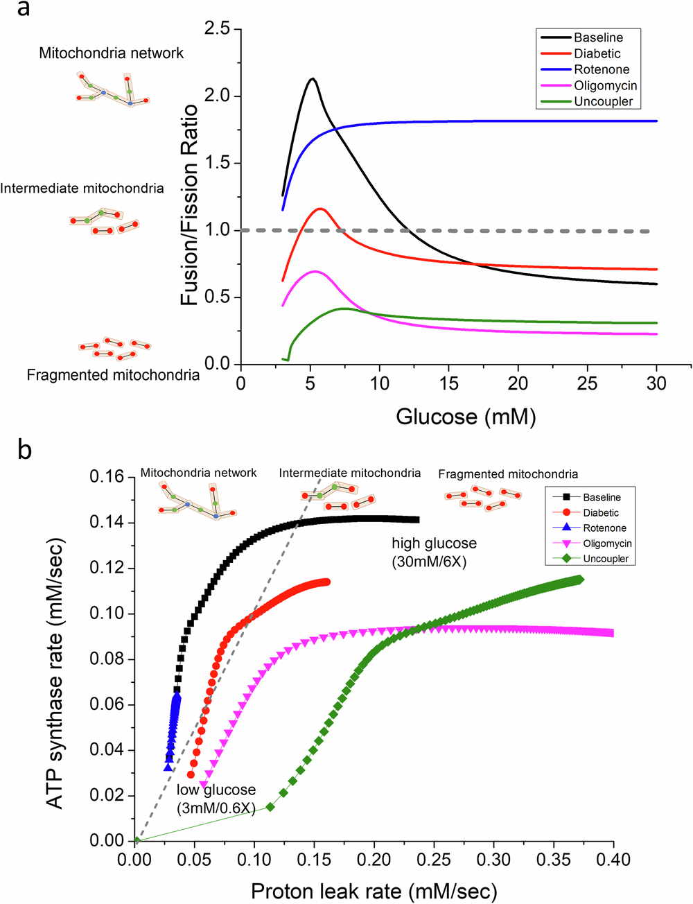 Fig. 9: Effects of glucose stimulation under various conditions.