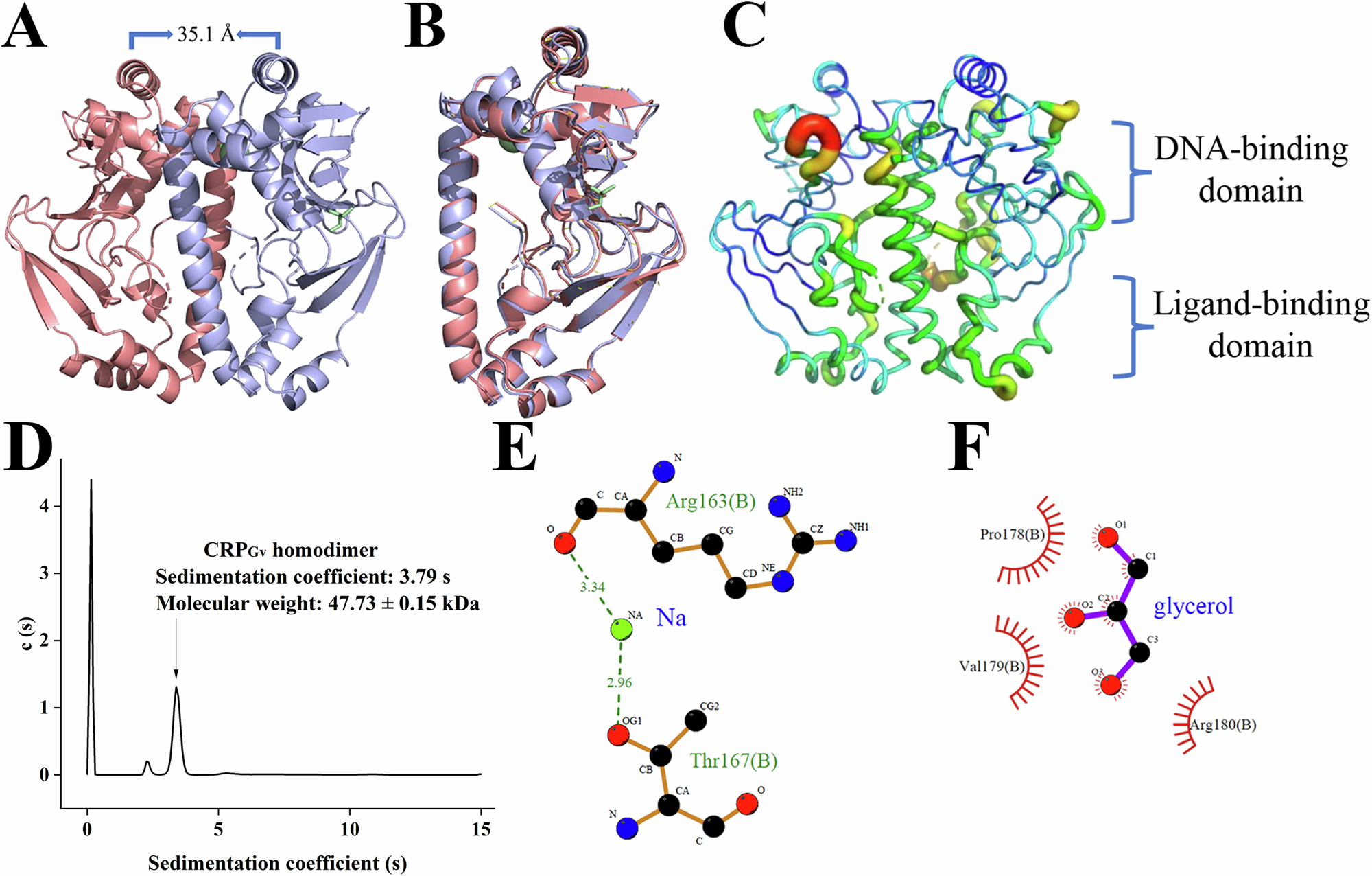 The cAMP receptor protein from Gardnerella vaginalis is not regulated by  ligands | Communications Biology
