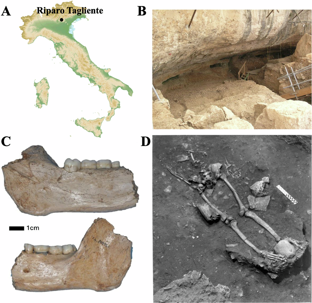 Fig. 1: Archeological site and Epigravettian human remains.