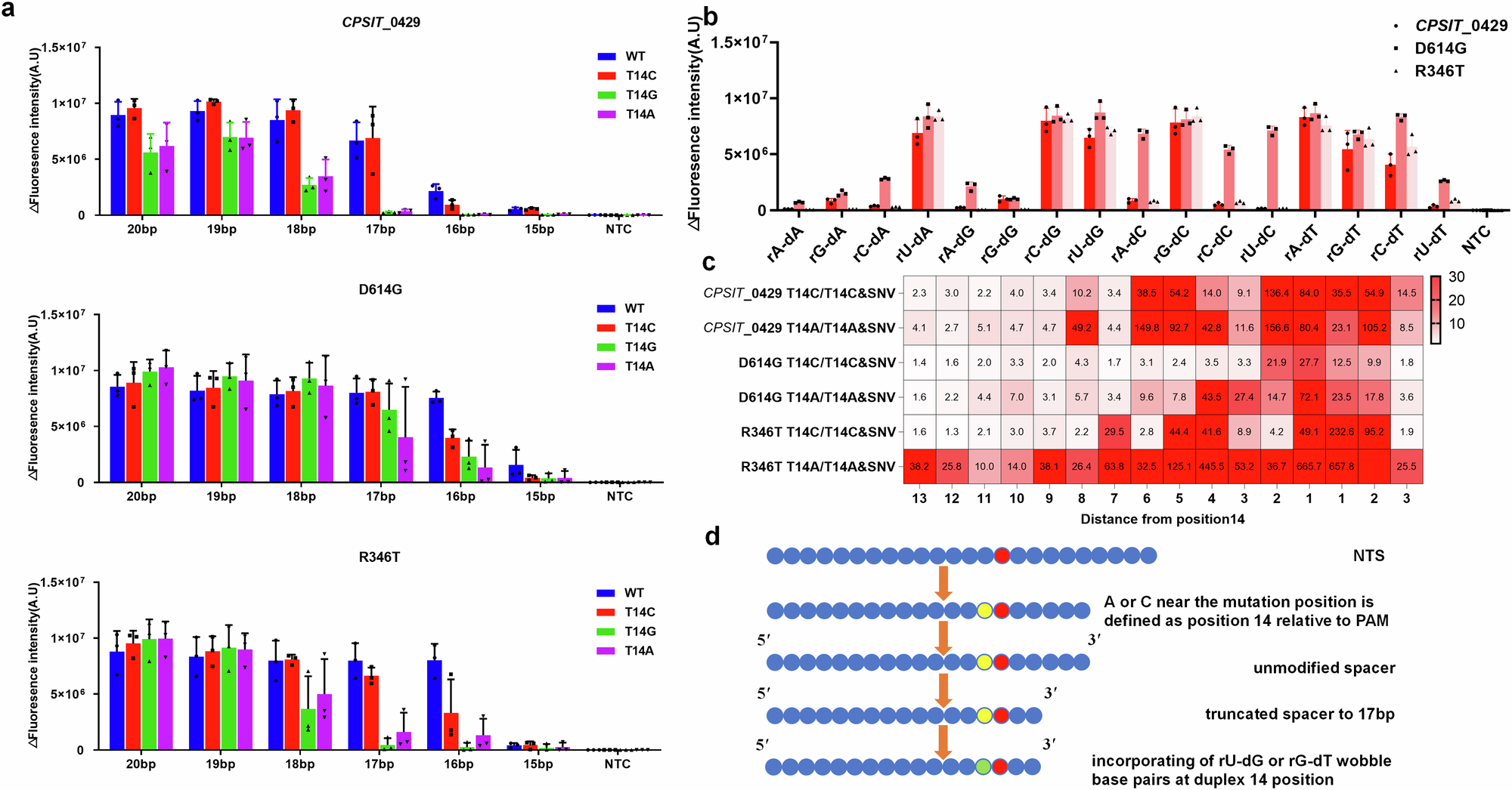 Fig. 3: Achieving high specificity by iterative crRNA design.