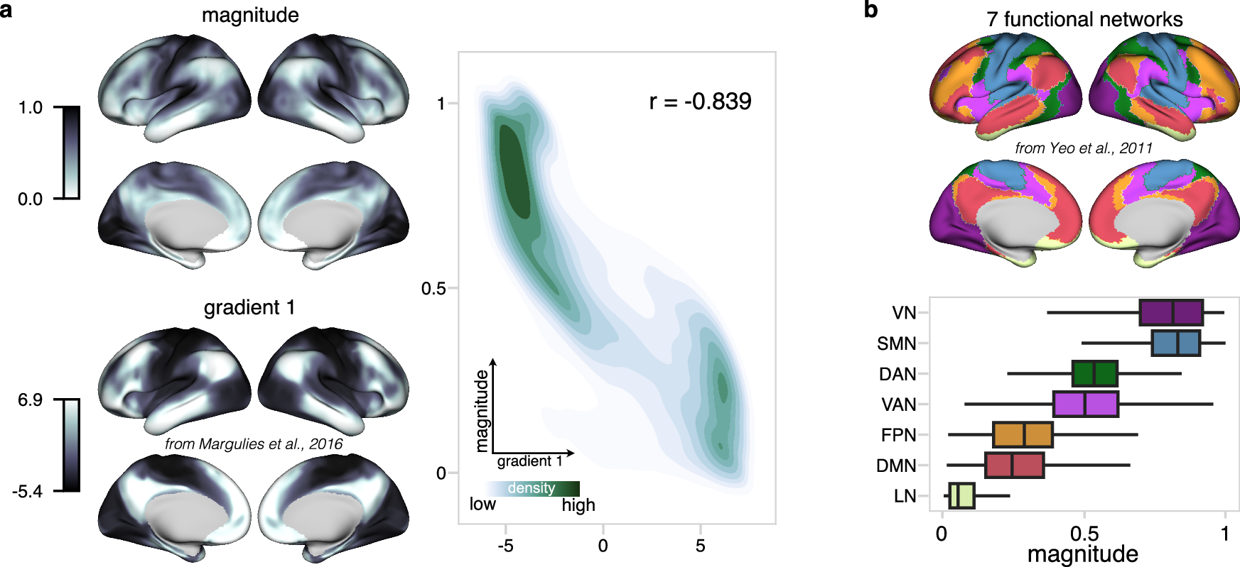 Fig. 3: Sensory magnitude and cortical hierarchy.