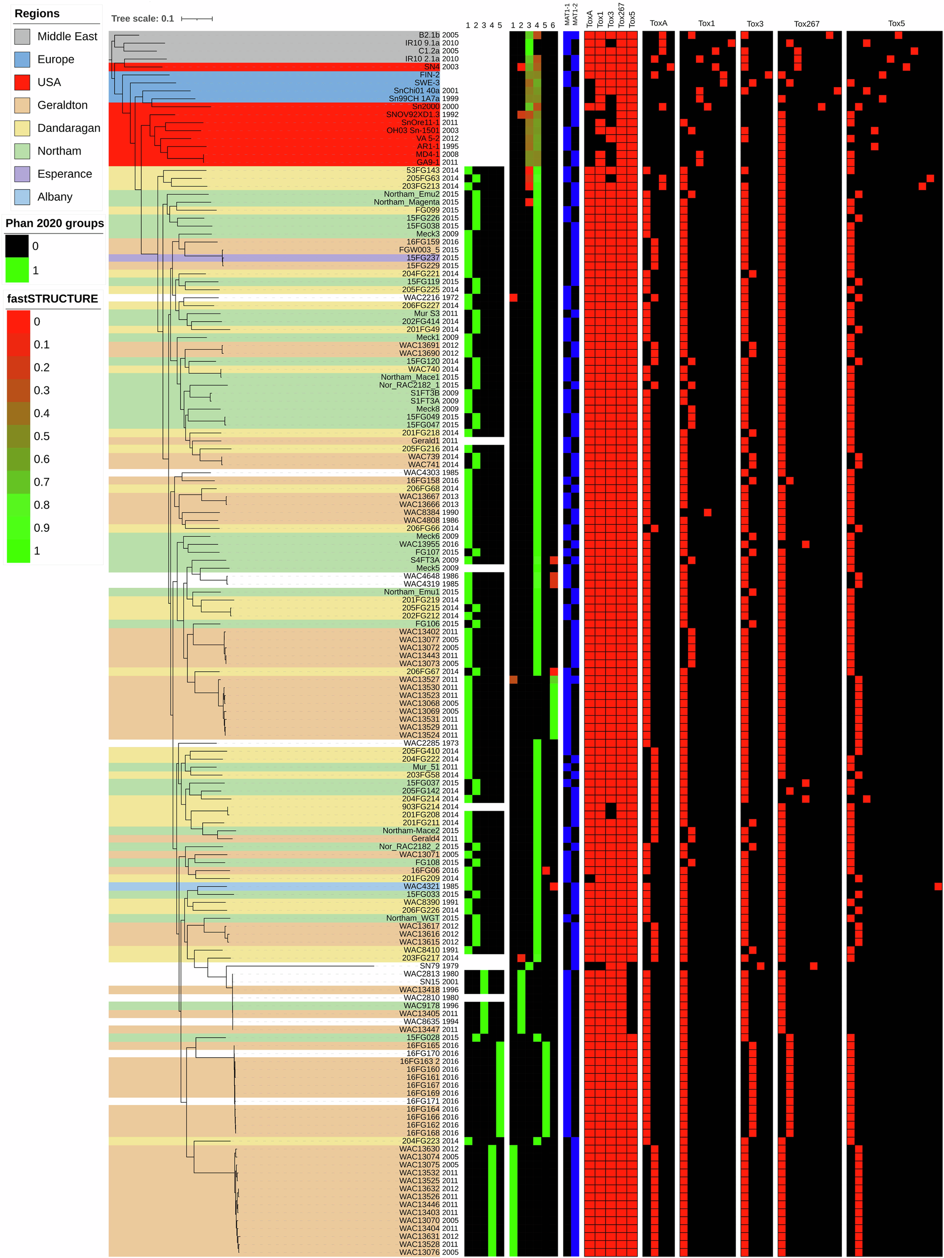 Fig. 4: Structure and pathogenicity features of the Western Australian (WA) Parastagonospora nodorum population.