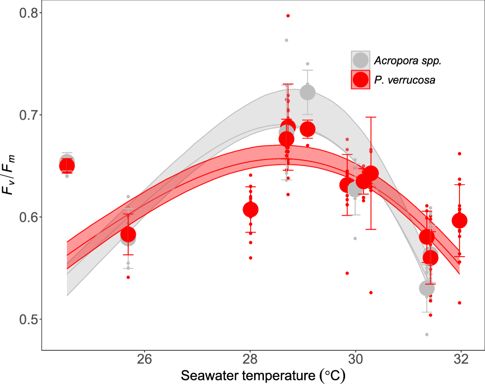 Fig. 1: Relationship between in situ photosynthetic efficiency (Fv/Fm) and in situ mean seawater temperature for Acropora spp. and P. verrucosa.