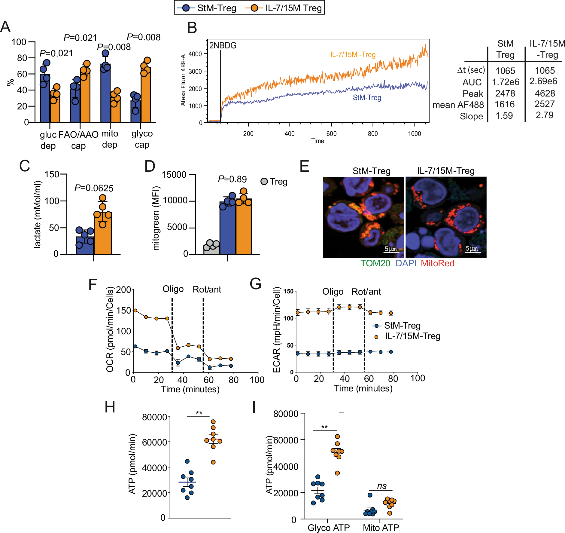 Fig. 3: IL-7/15-Treg display an efficient metabolism based on glycolysis.