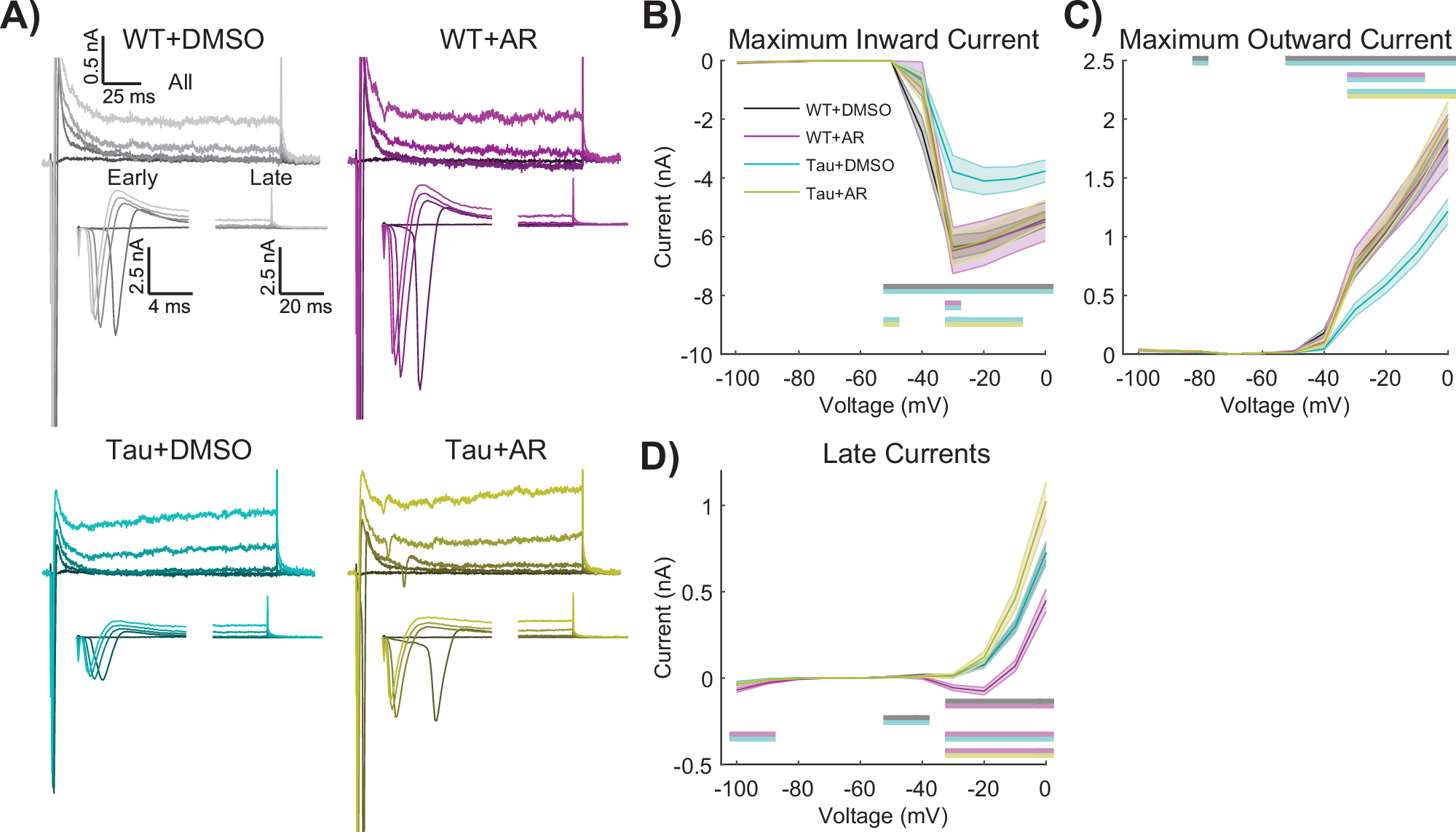 Fig. 6: AdipoRon stimulates the activity of voltage-gated channels in Tau neurons.