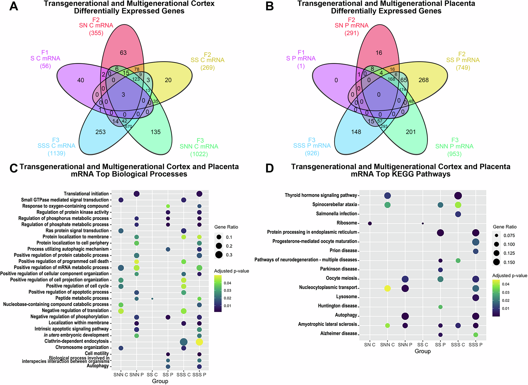Fig. 3: mRNA overlaps and gene associations.