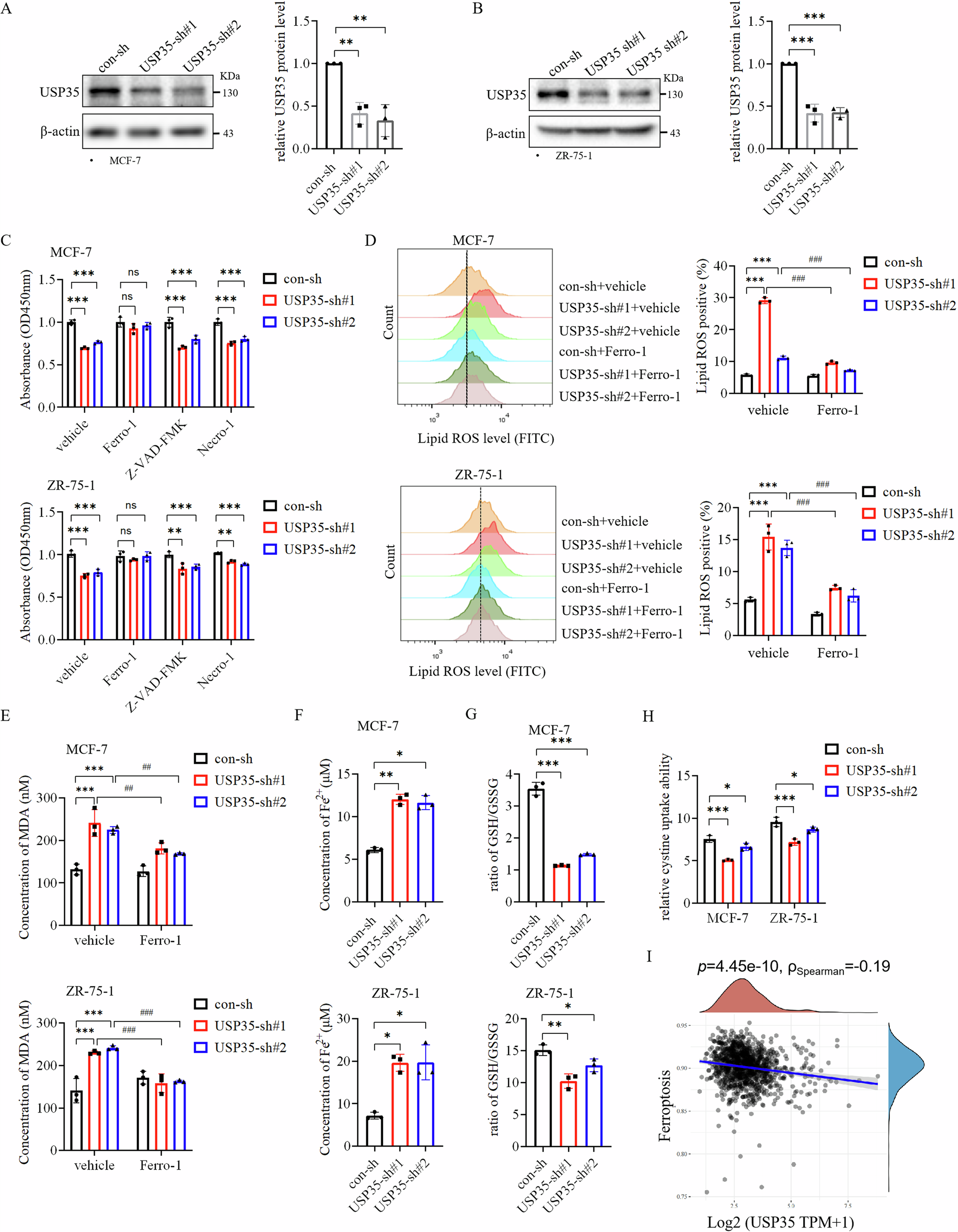 Fig. 1: USP35 promotes the growth of ER+ breast cancer cells by inhibiting ferroptosis.