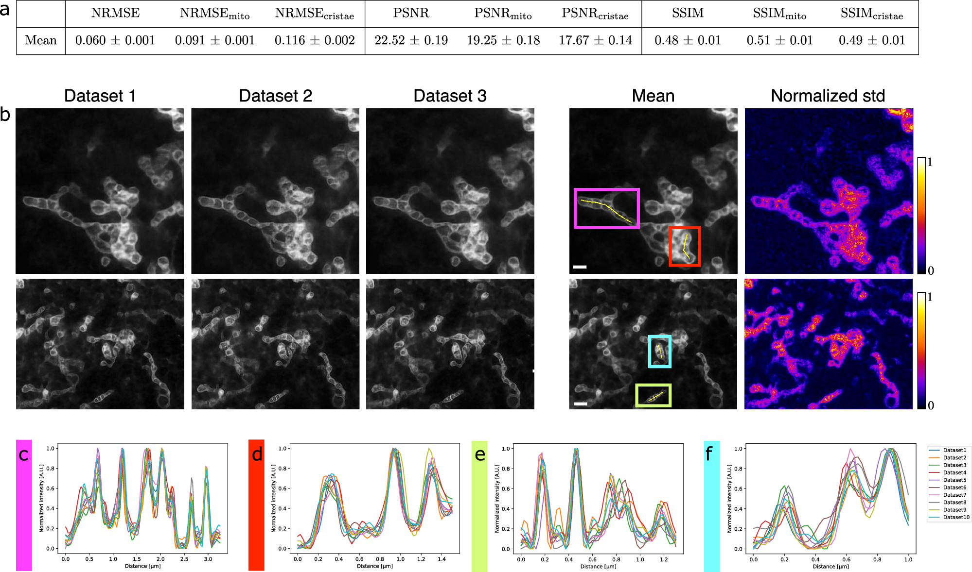 Fig. 5: Stability of image restoration by DeepCristae.