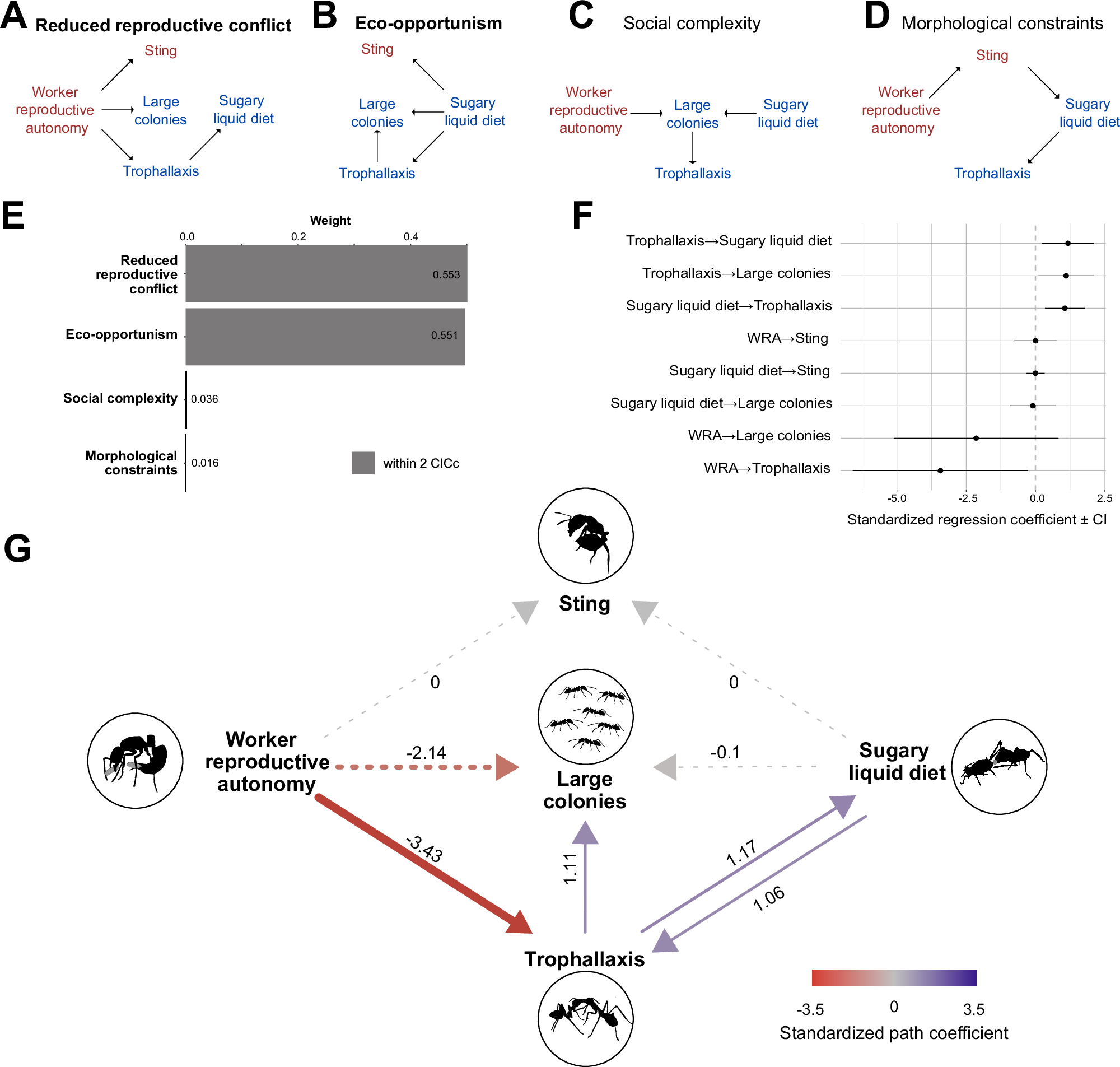 Ecological change and conflict reduction led to a social circulatory system  in ants | Communications Biology