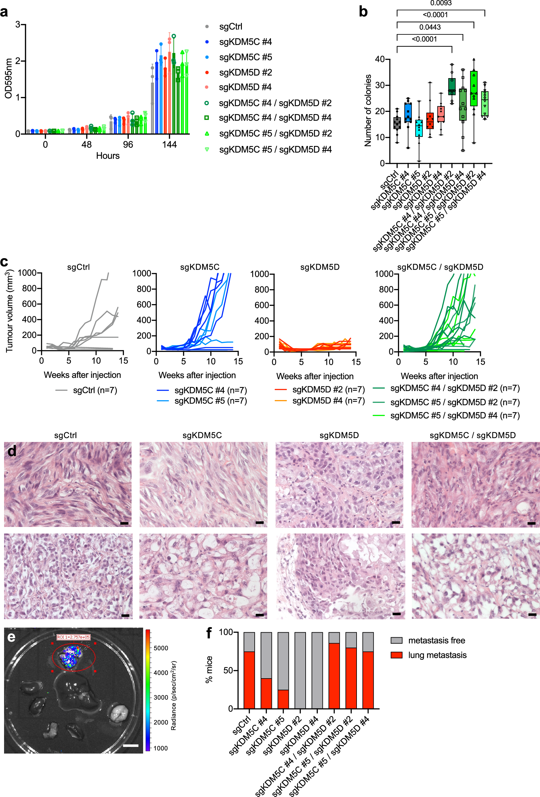 Fig. 5: Effects of KDM5C and KDM5D mutations on cancer phenotypes of 786-O cells.