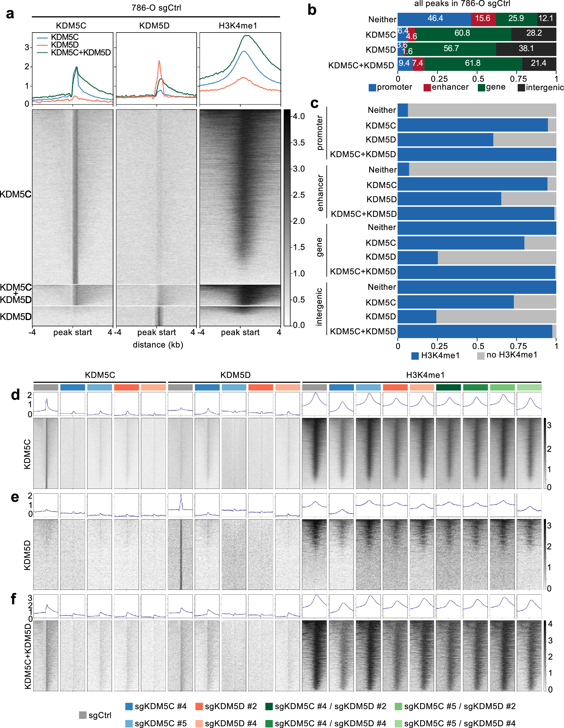 Fig. 7: KDM5C and KDM5D mutations do not affect H3K4me1 in 786-O cells.