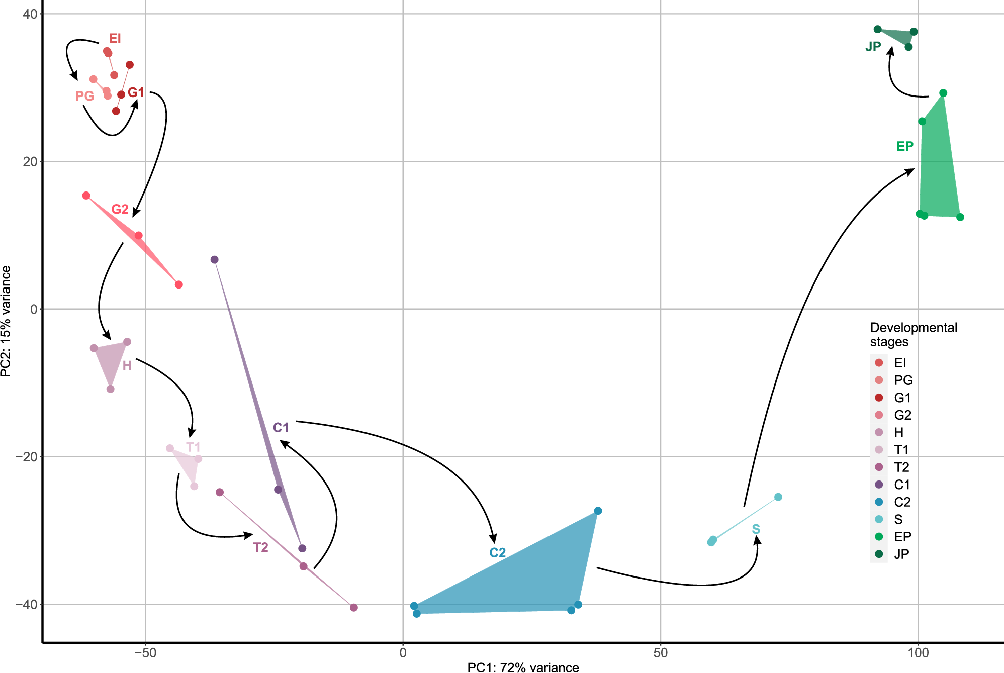Fig. 2: Principal component analysis (PCA) of transcriptomes shows time-resolved organization of Vitis vinifera somatic embryogenesis.