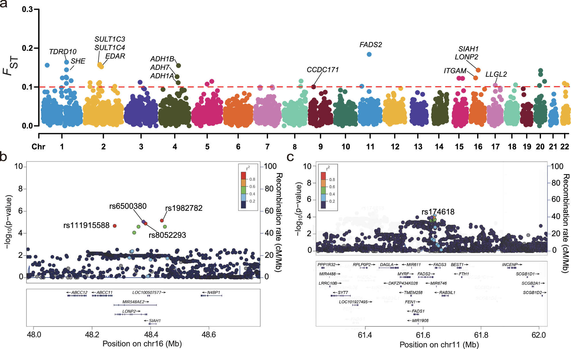 Fig. 4: Genome-wide selection signatures of the CPHC.