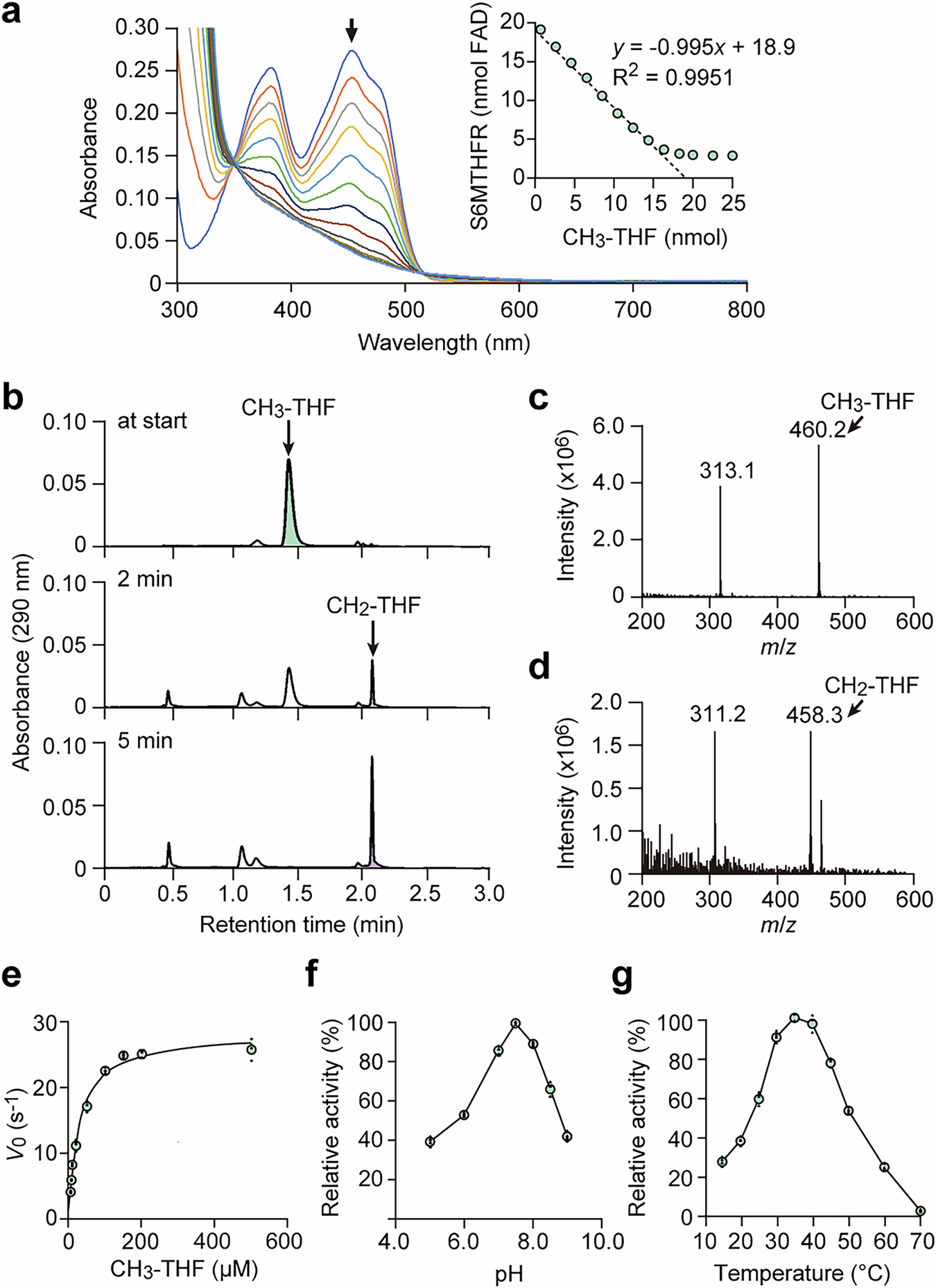 Fig. 2: Enzymatic characterization of S6MTHFR.