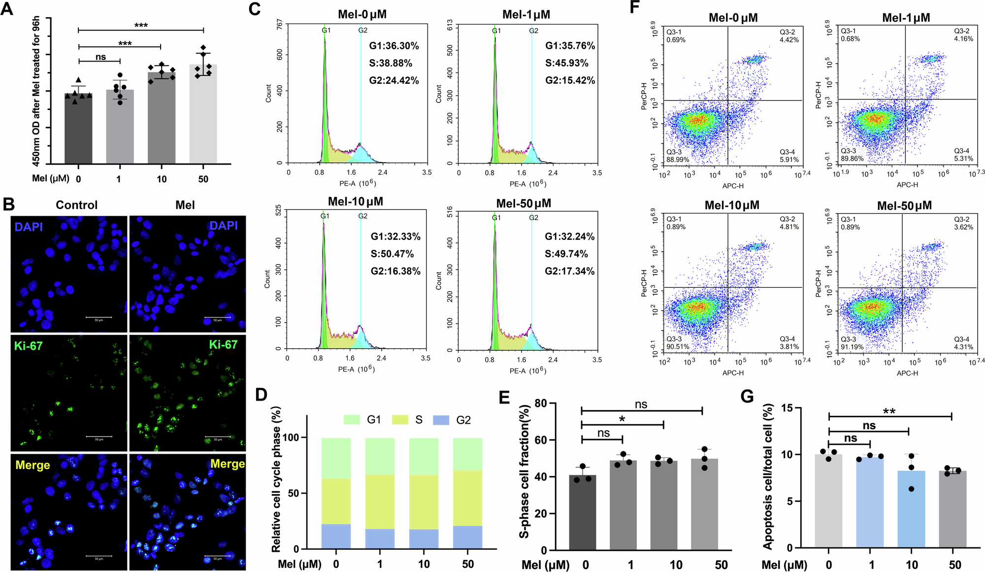Fig. 4: Melatonin promotes cell proliferation and inhibits apoptosis by affecting the cell cycle.