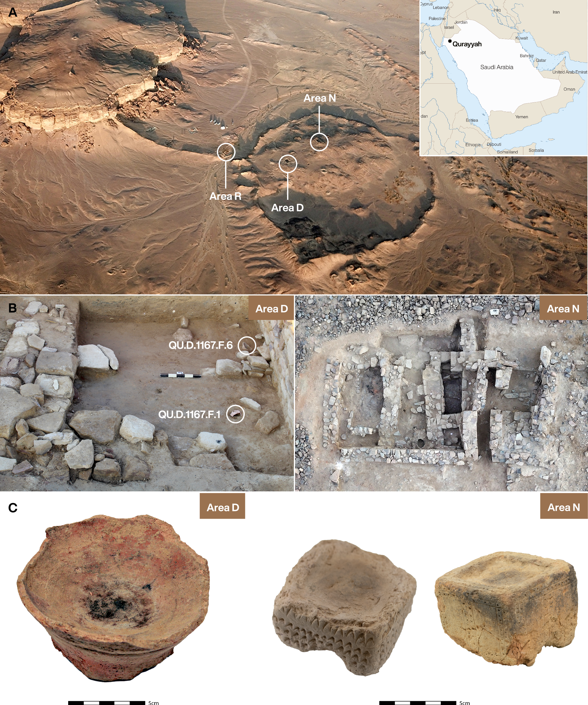 harmala alkaloids in tobacco Metabolic profiling reveals first evidence of fumigating drug plant Peganum  harmala in Iron Age Arabia