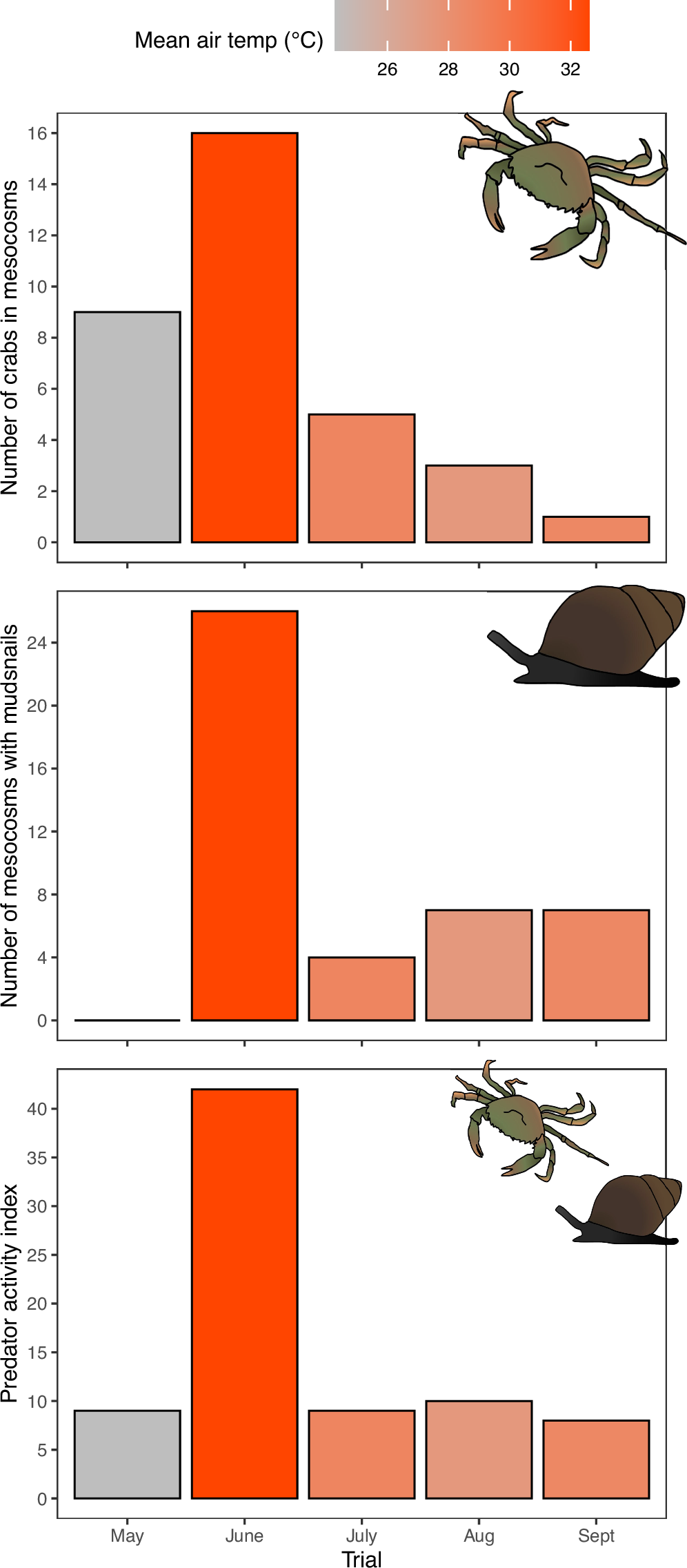 Fig. 3: Estimates of predator/scavenger activity during each of the five experimental trials.