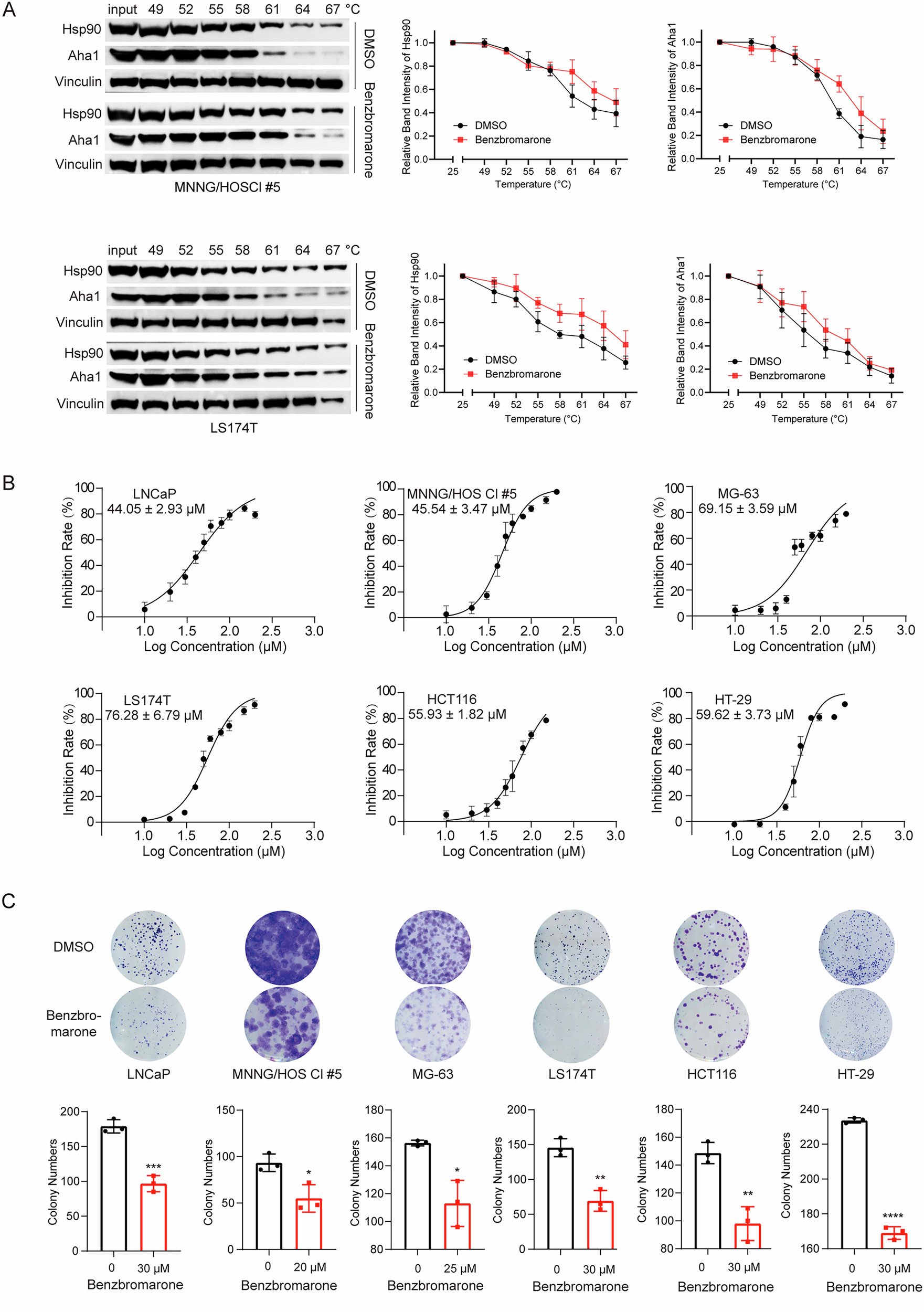 Fig. 4: Benzbromarone interacts with Hsp90 and Aha1 in cellular context and causes cytotoxicity against multiple human cancer cell lines.
