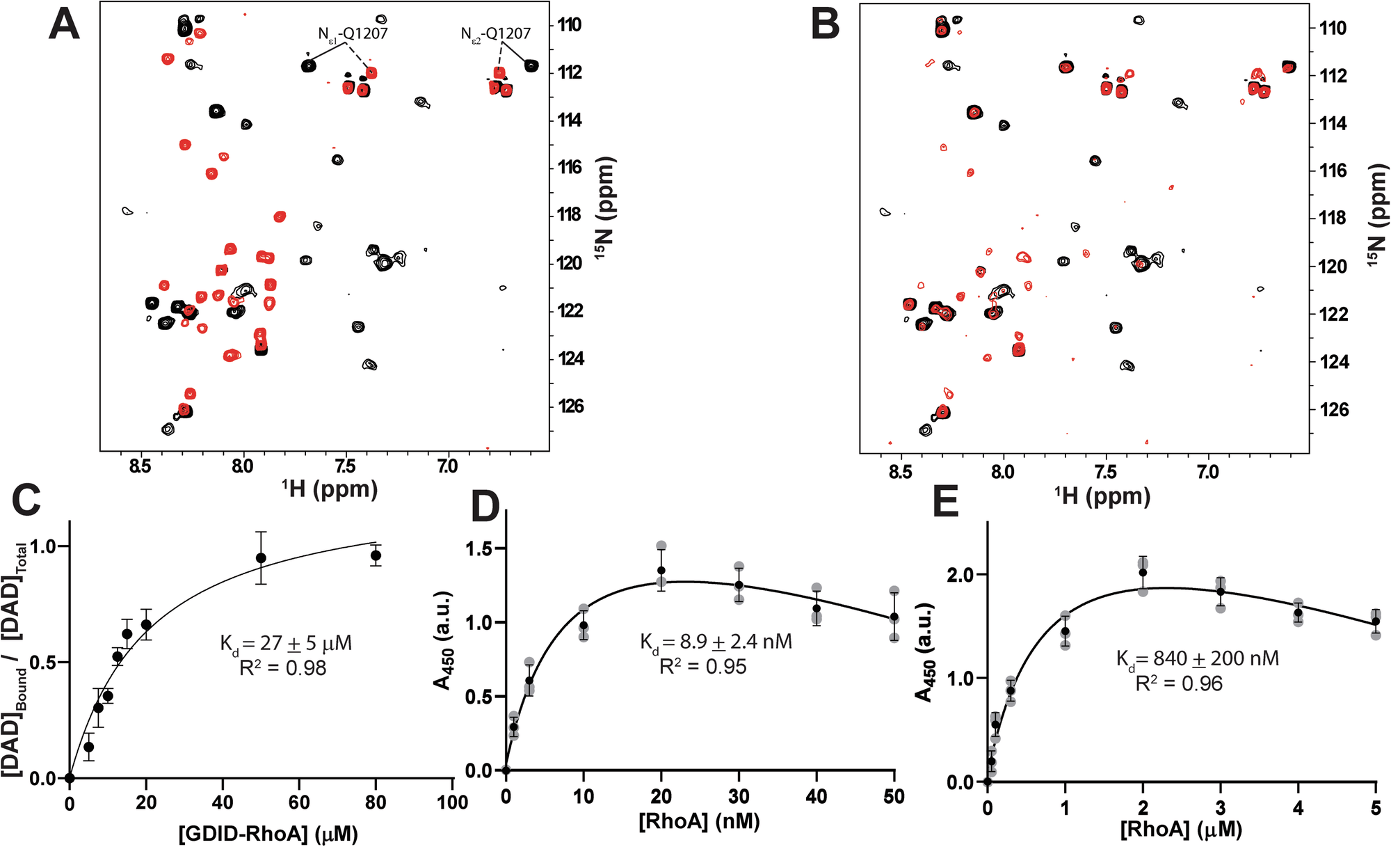 Fig. 2: GDID, DAD and RhoA form a negatively cooperative tripartite complex.
