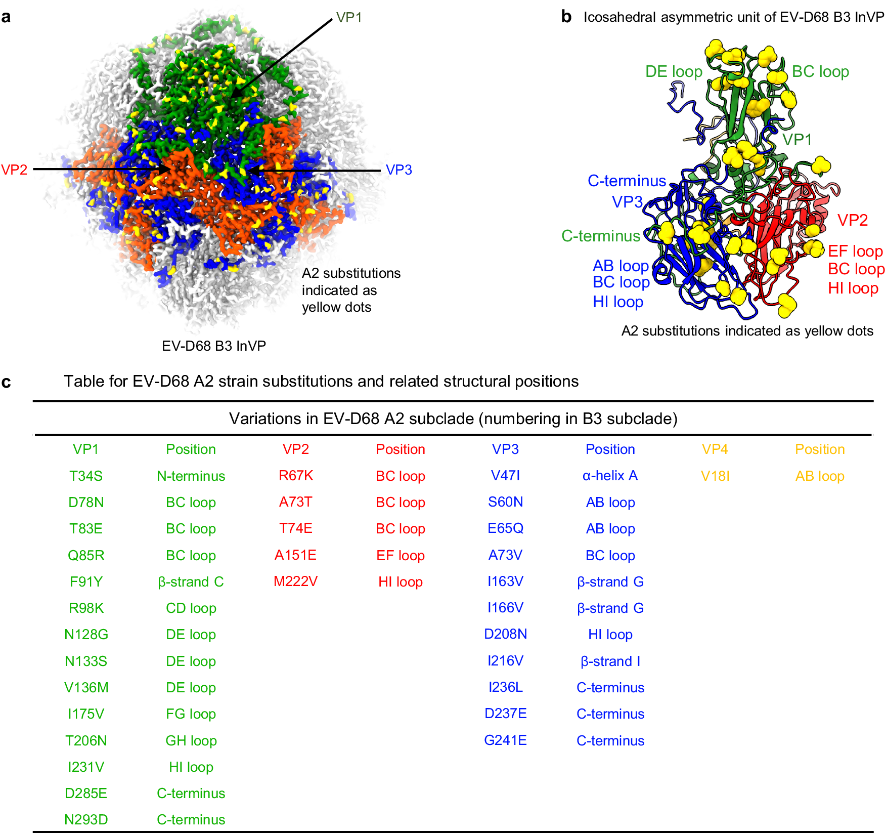 Fig. 7: Sequence variations between EV-D68 circulating B3 and A2 subclades.