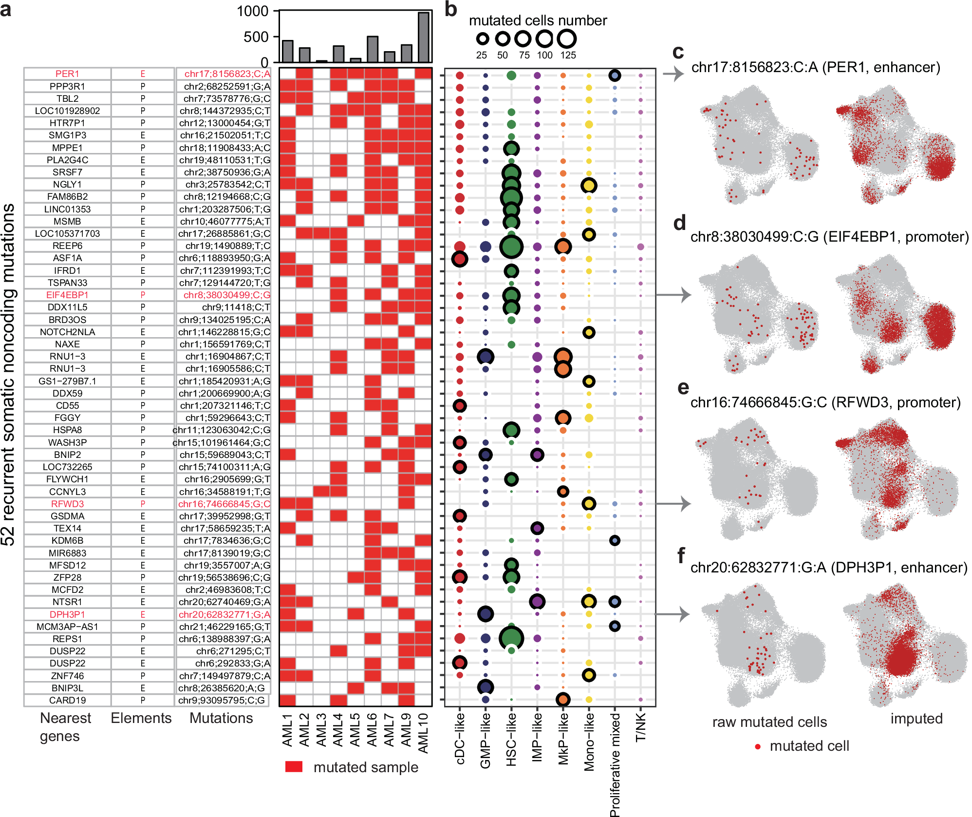 Fig. 4: Recurrent cell-type-specific non-coding mutations in AML.