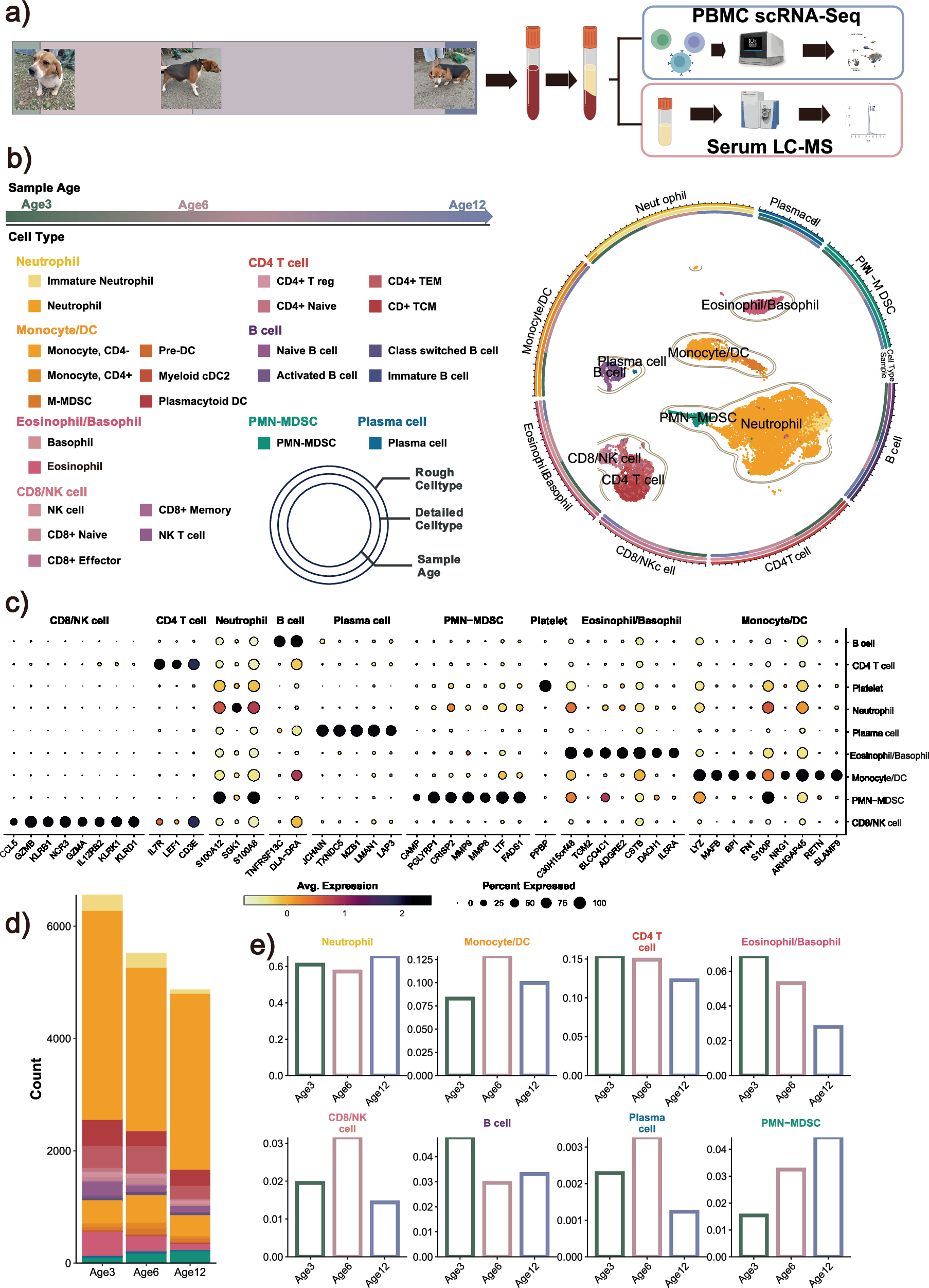 Fig. 1: scRNA-seq sequencing during aging in dogs.