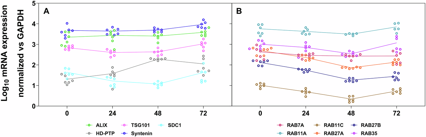 Fig. 1: Expression of genes coding for proteins involved in exosome biogenesis and trafficking in human hepatocytes.